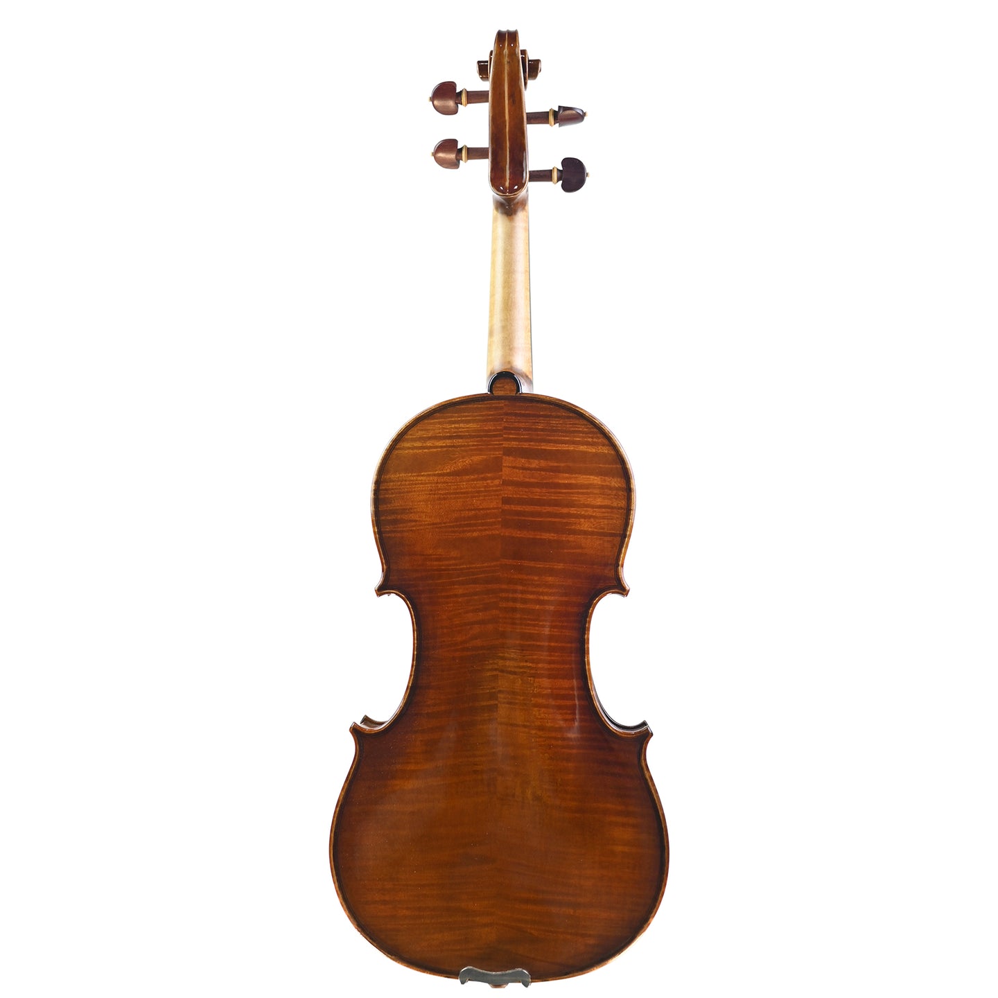 7003 beginner violin back