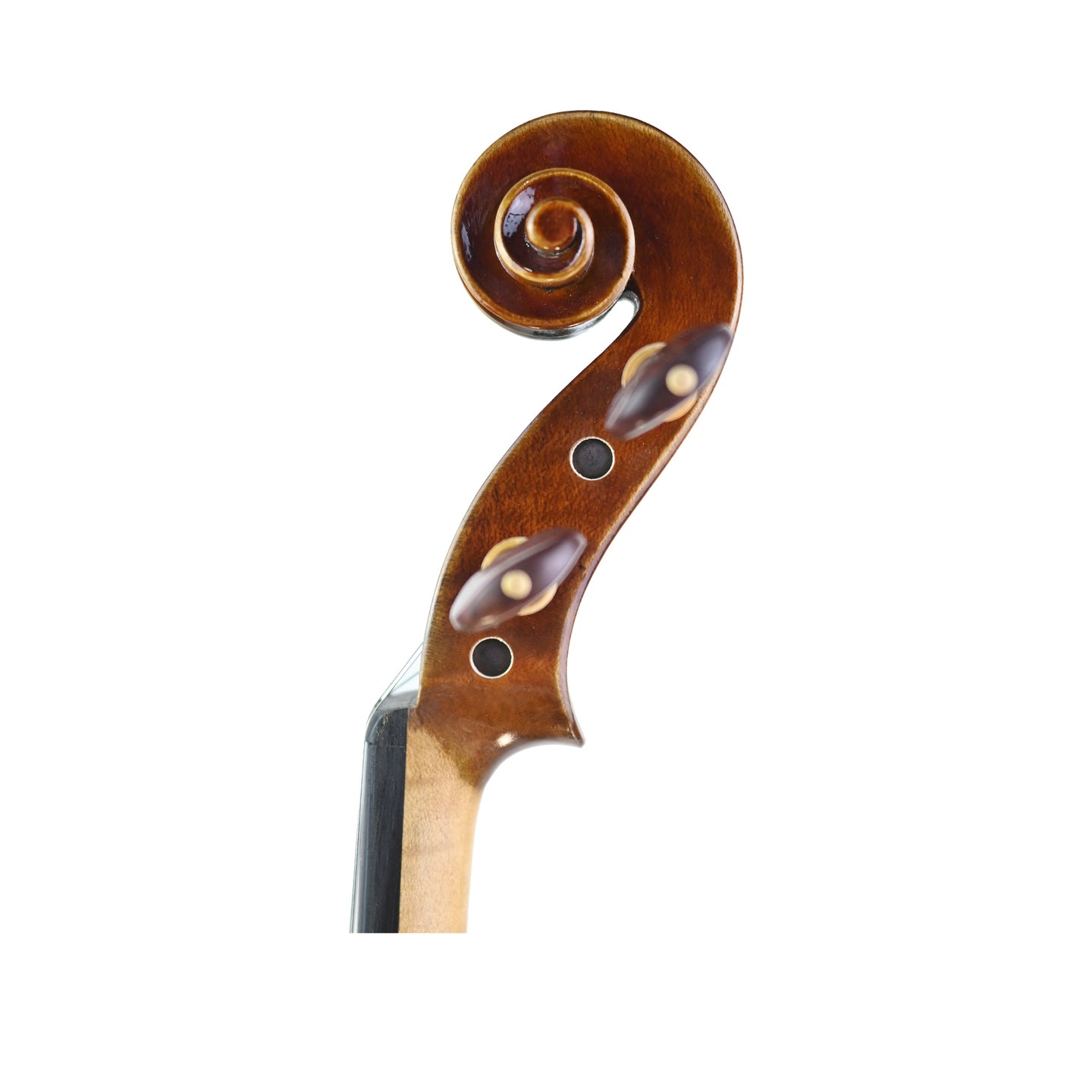 7003 beginner violin left scroll