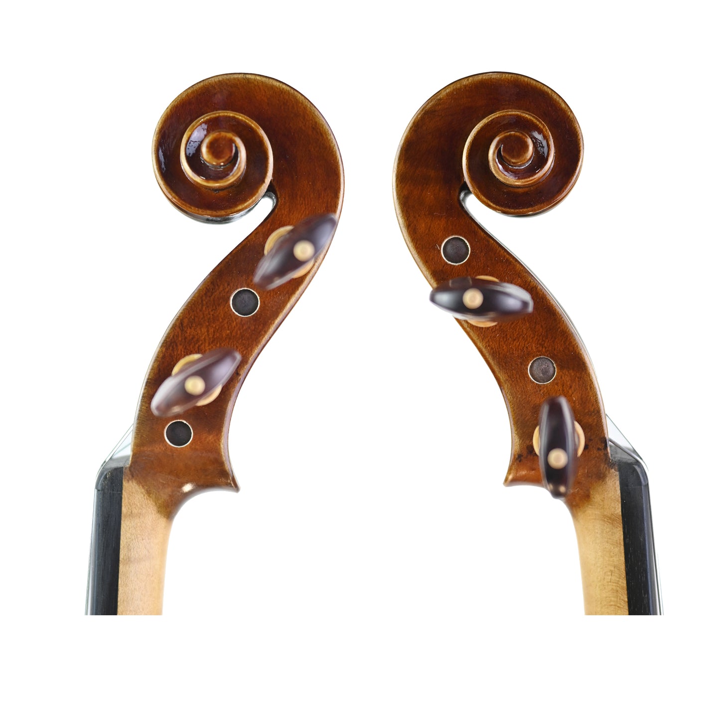 7003 beginner violin scrolls