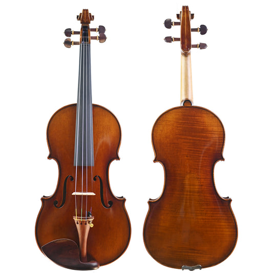 7004 beginner violin