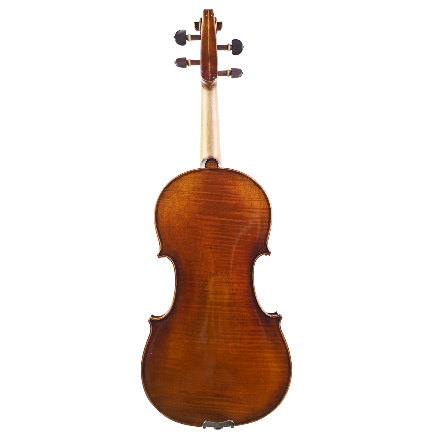 7004 beginner violin back