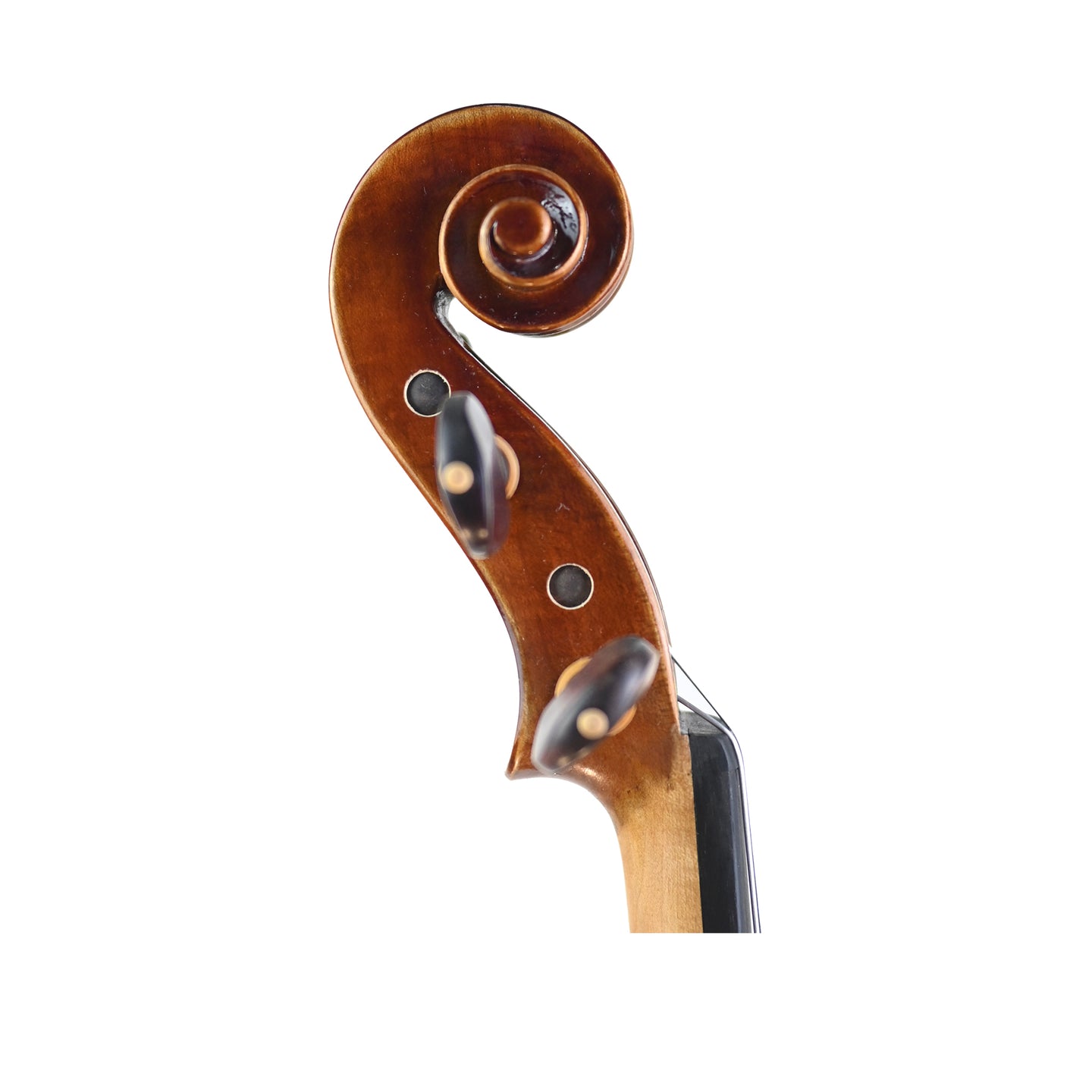 7004 beginner violin right scroll