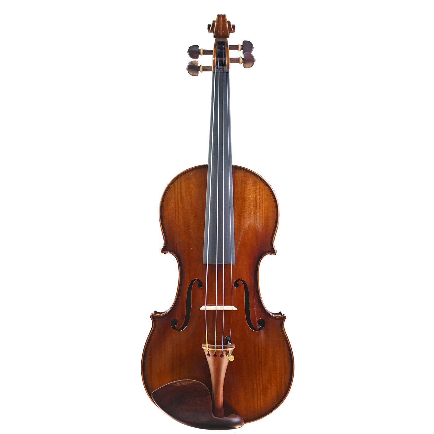 7004 beginner violin top
