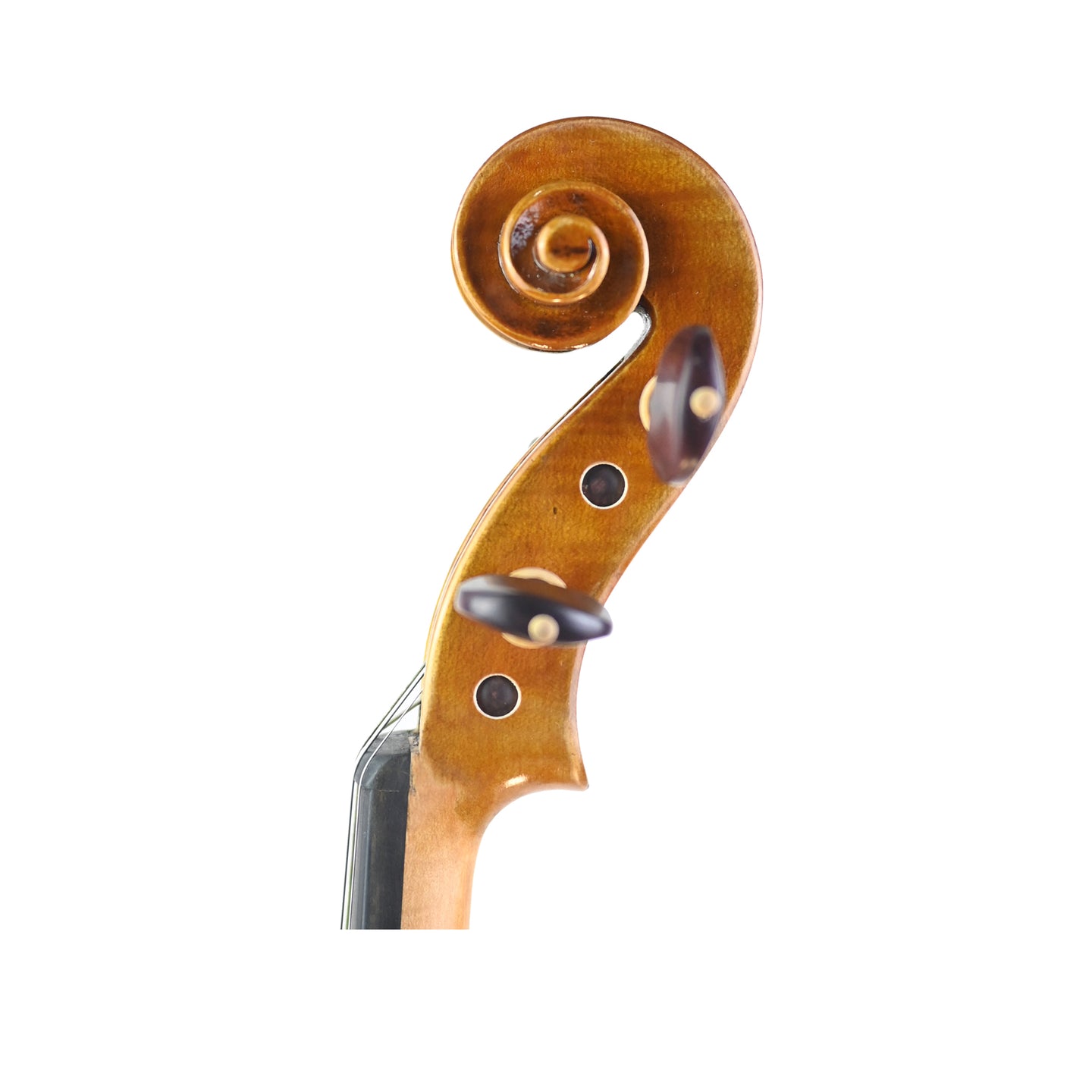 7006 intermediate violin left scroll