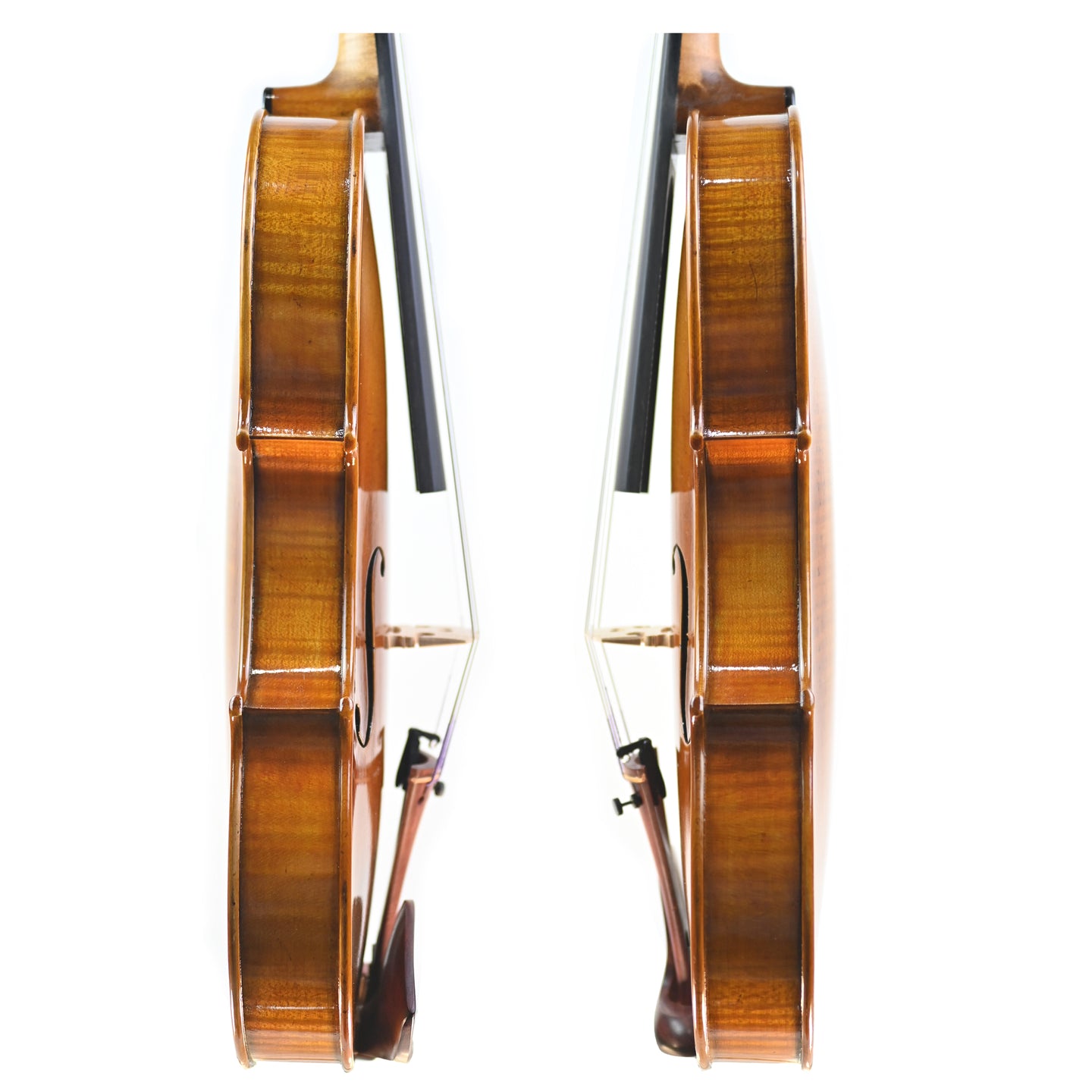 7006 intermediate violin ribs