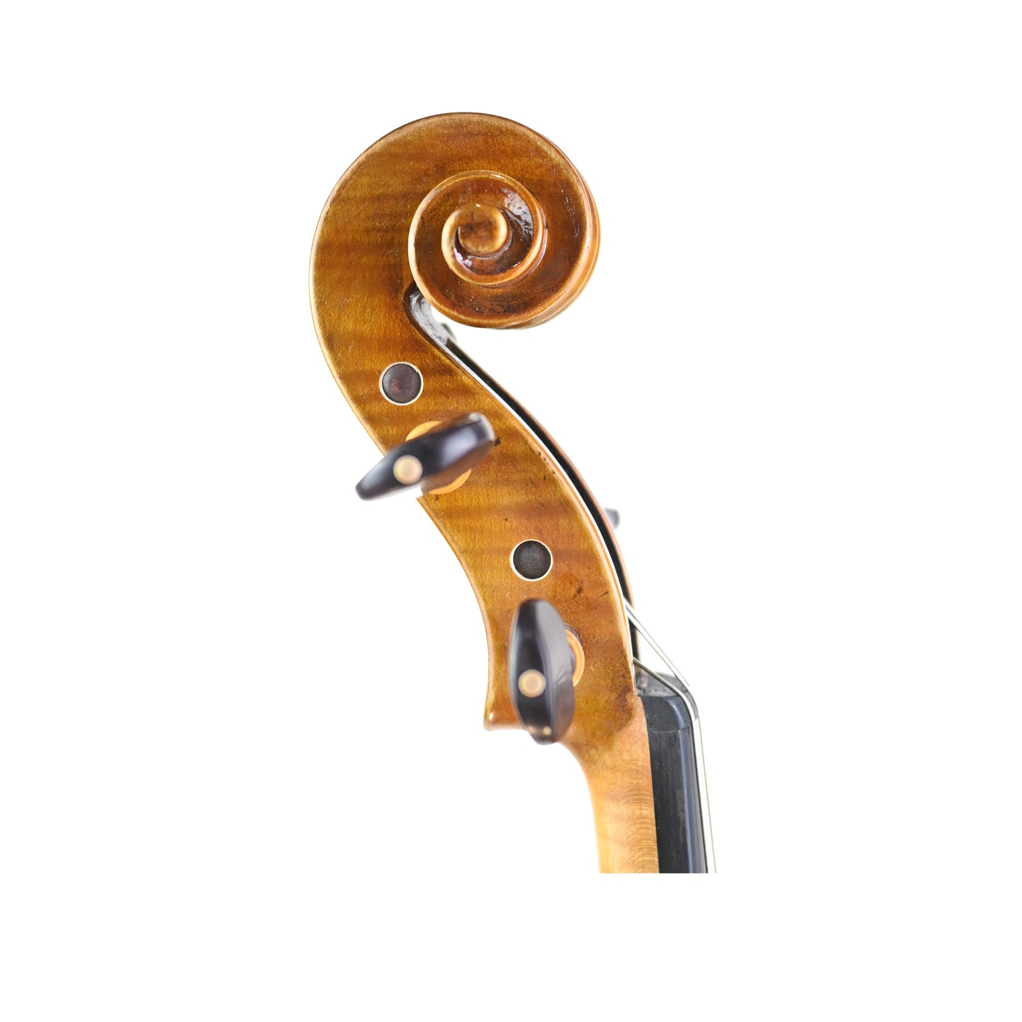 7006 intermediate violin right scroll
