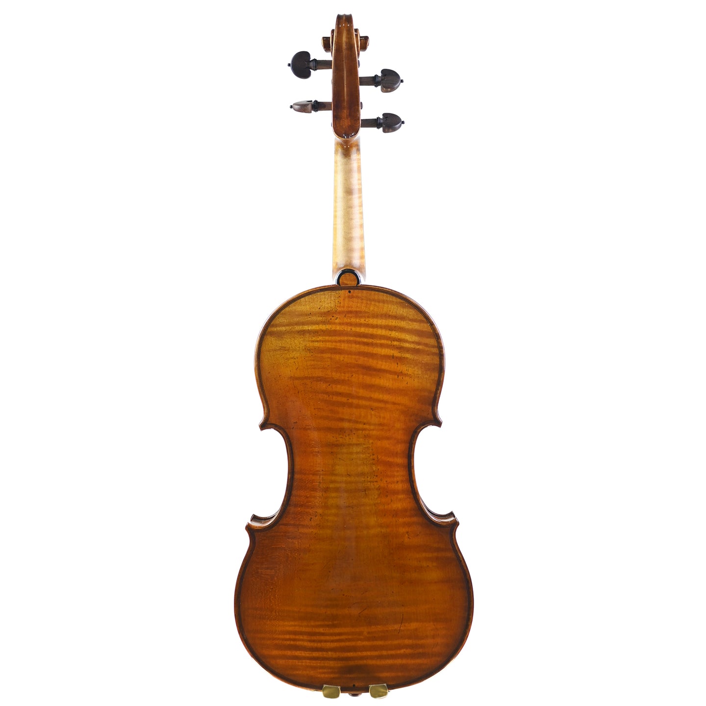 7006 professional violin back