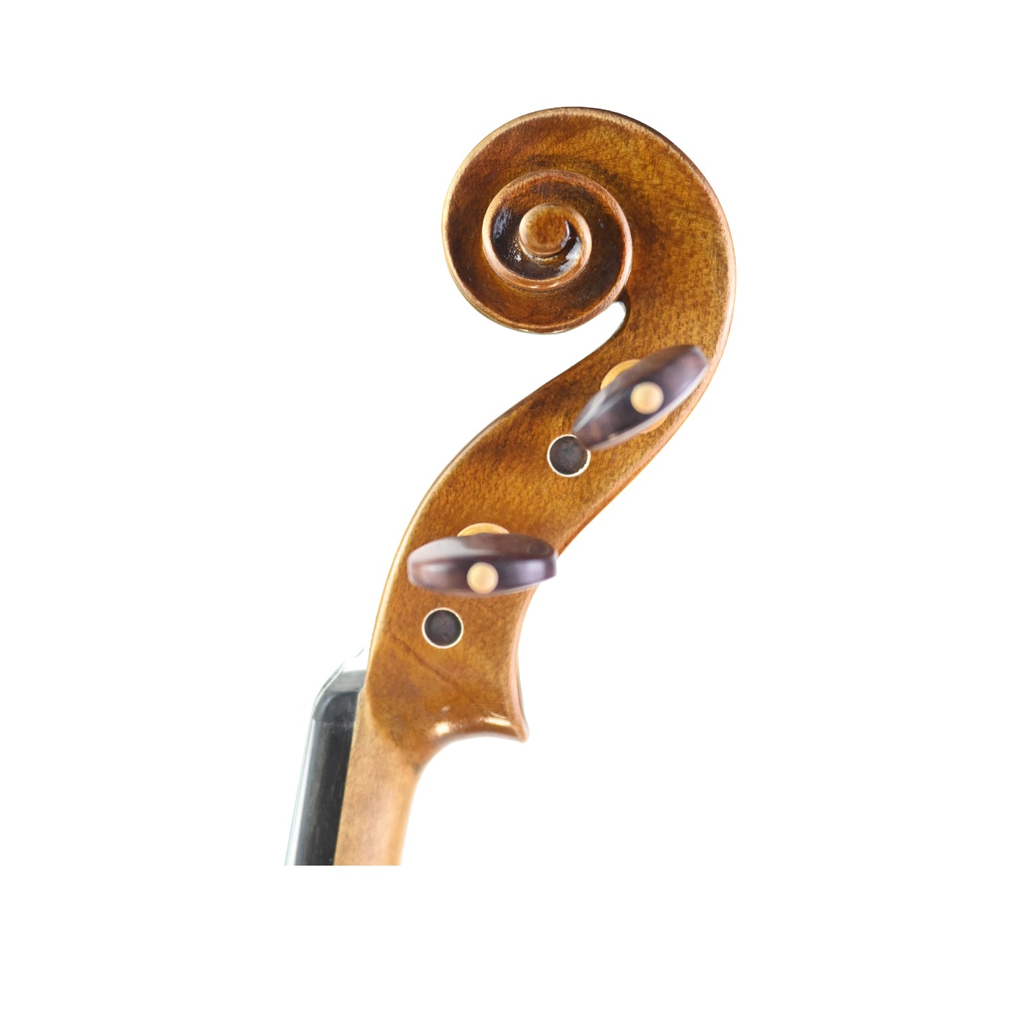 7008 Guarneri 4/4 violin left scroll