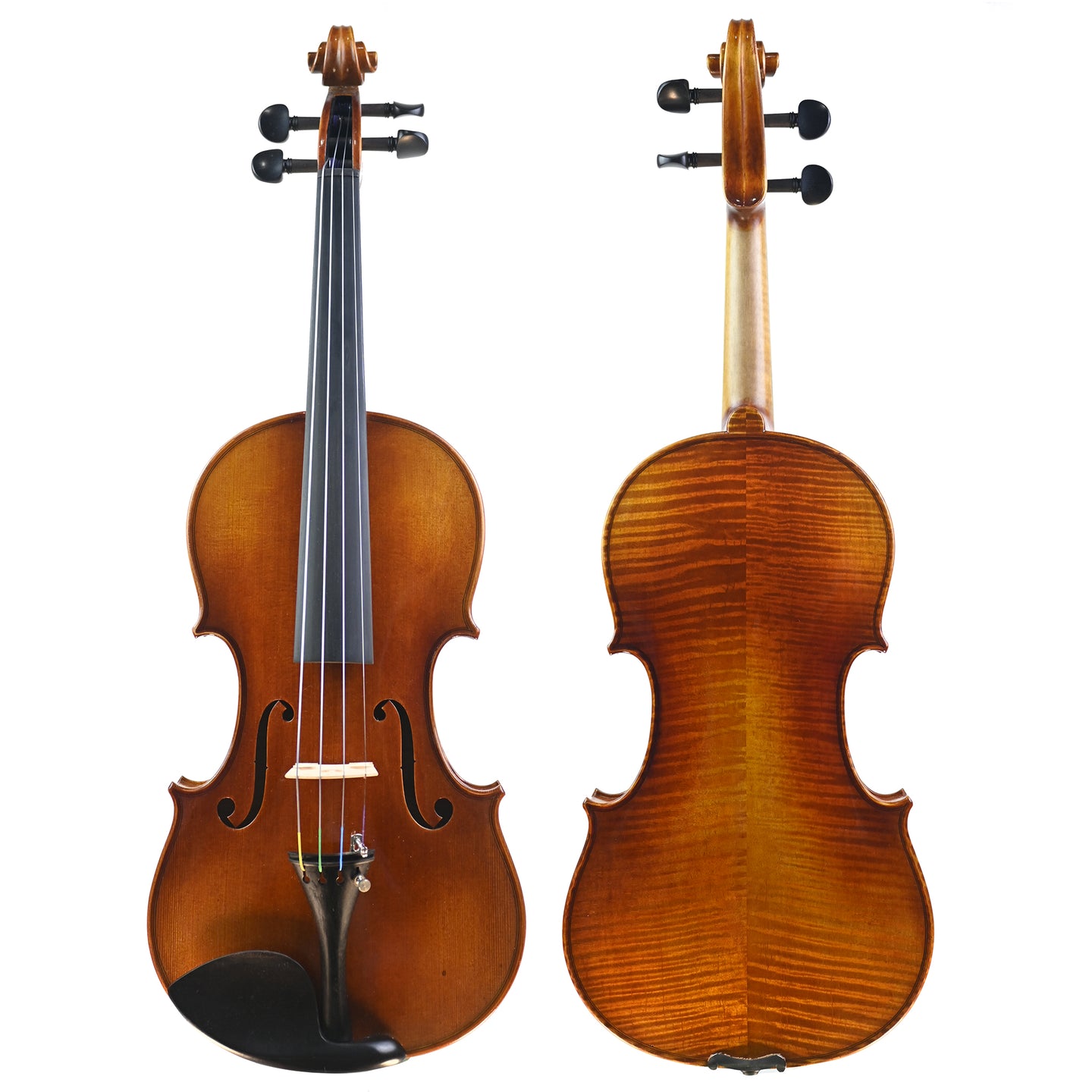 7009 beginner violin