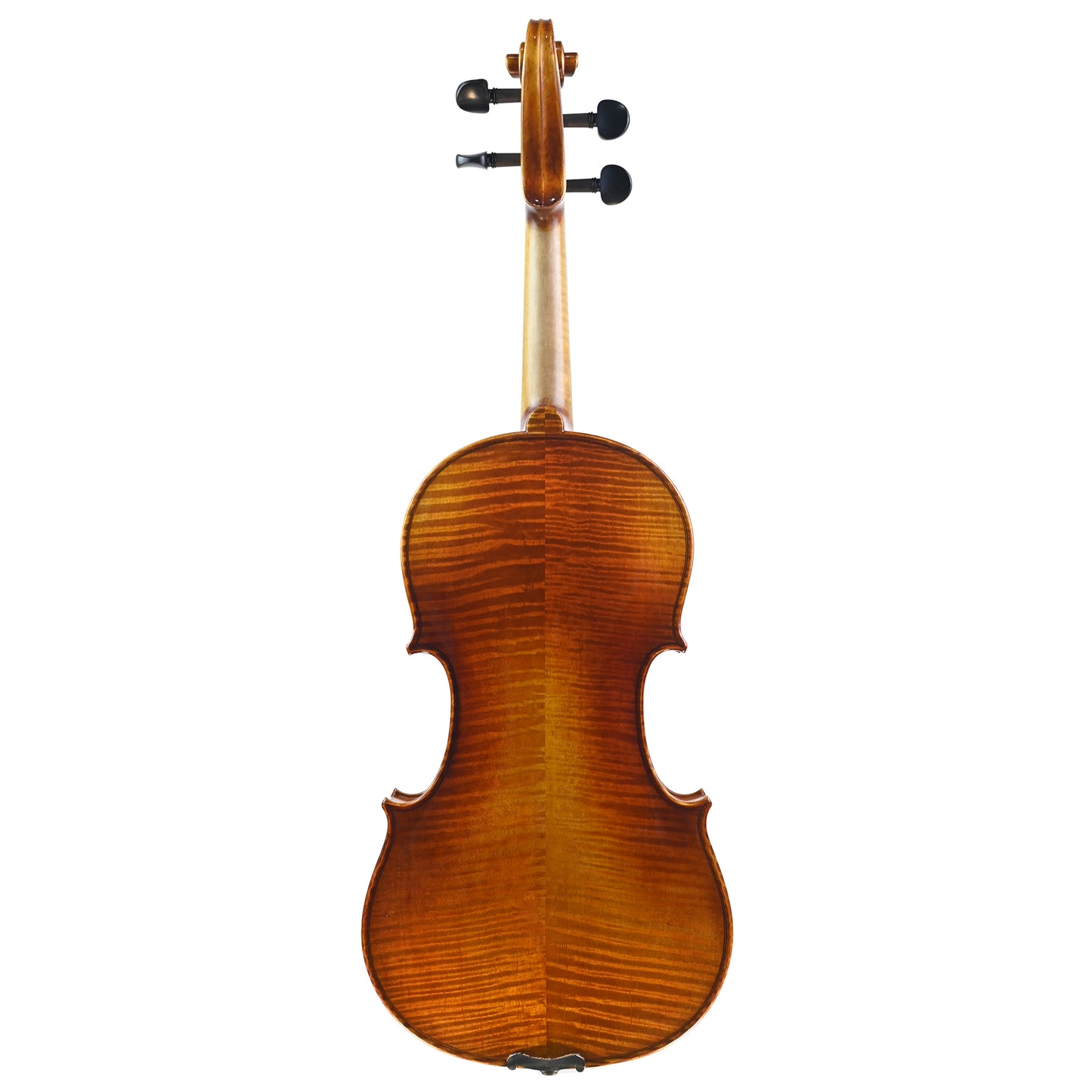 7009 beginner violin back