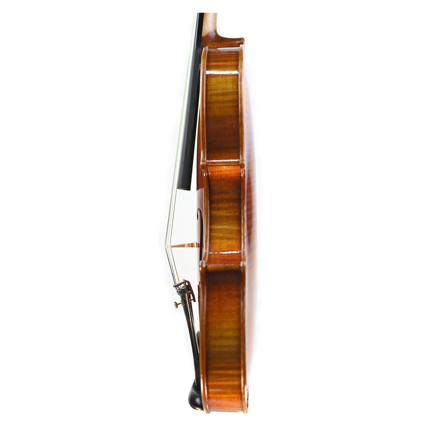 7009 beginner violin left rib