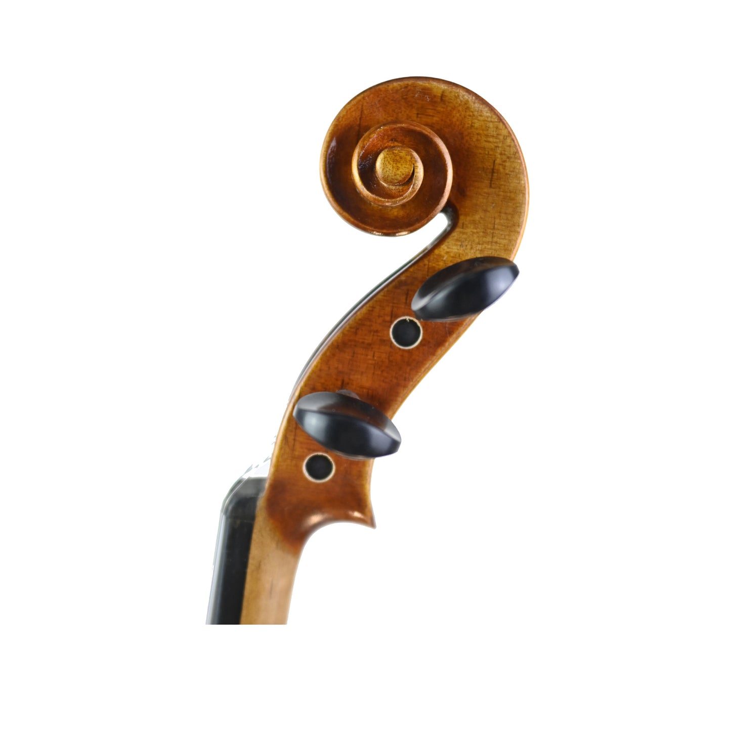 7009 beginner violin left scroll