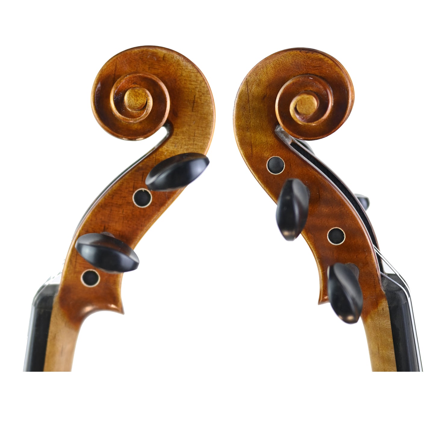 7009 beginner violin scrolls
