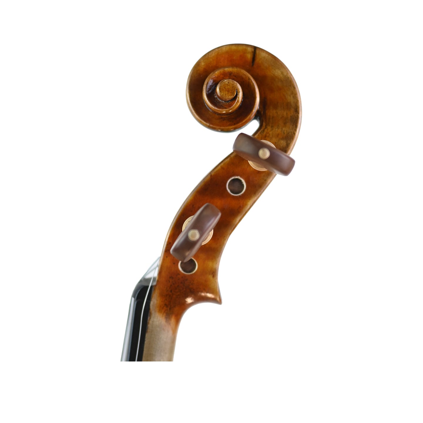7011 intermediate violin left rib