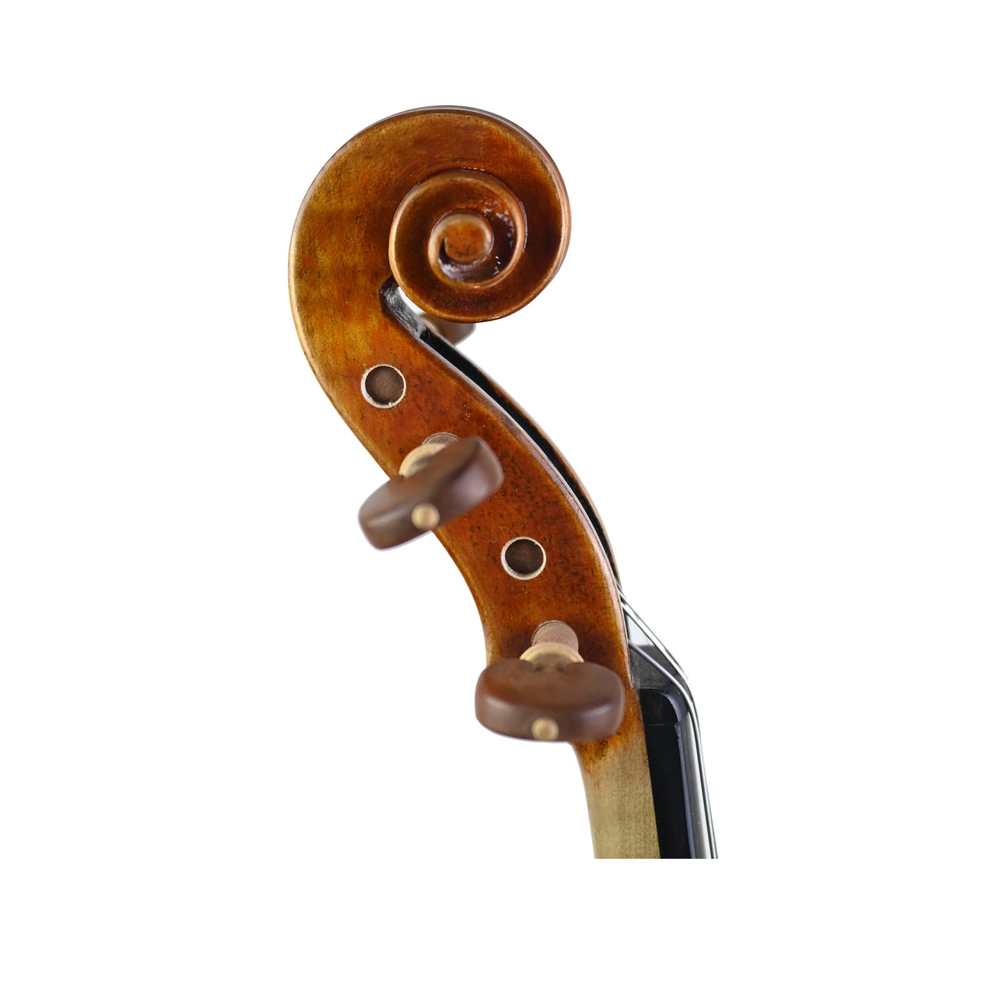 7011 intermediate violin right scroll