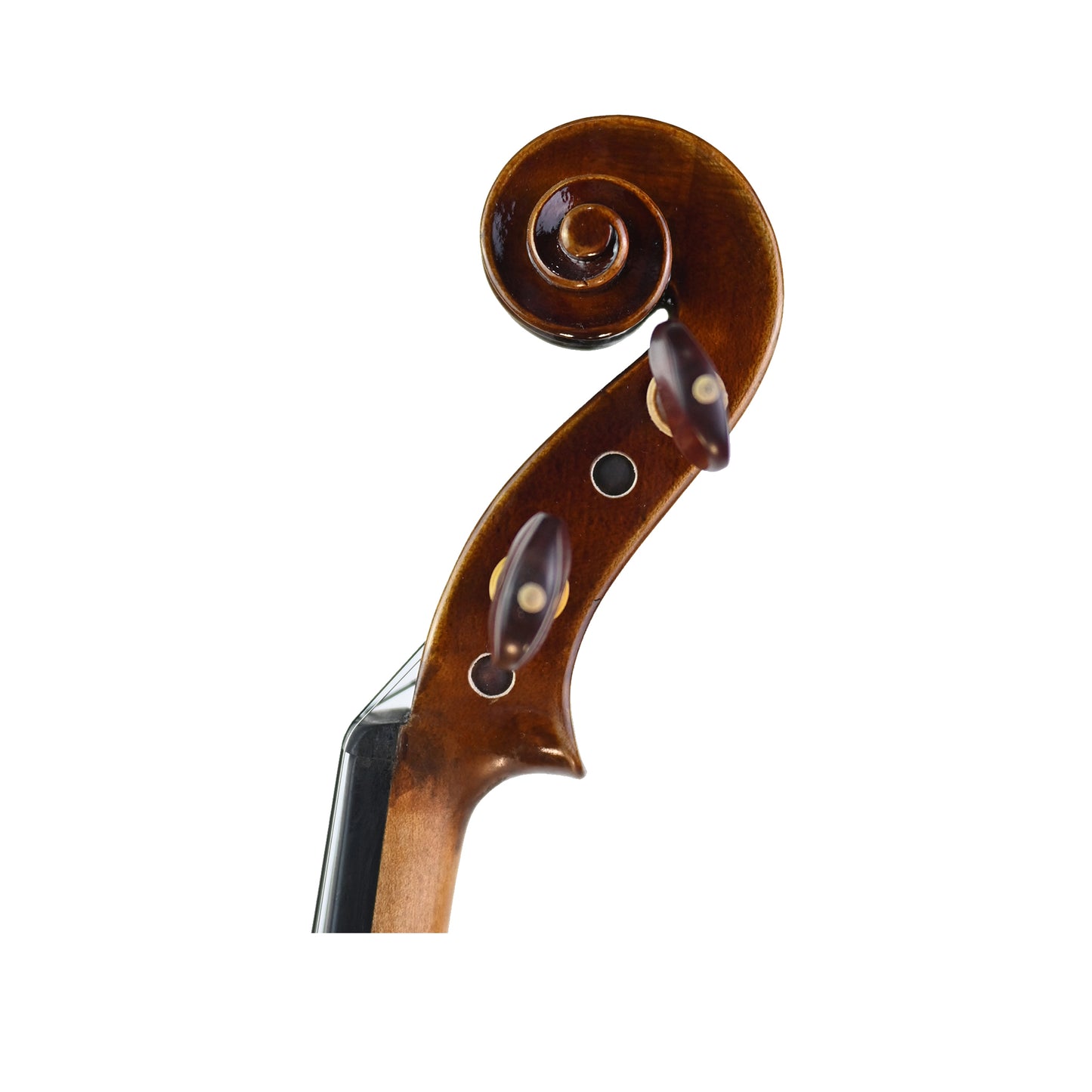 7012 intermediate violin left scroll