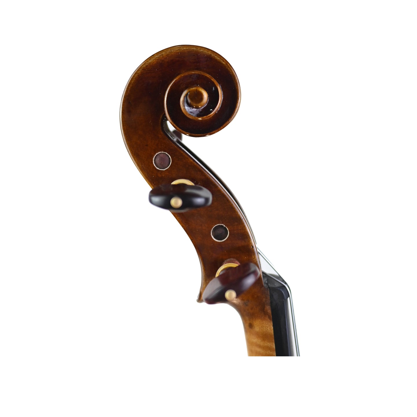 7012 intermediate violin right scroll