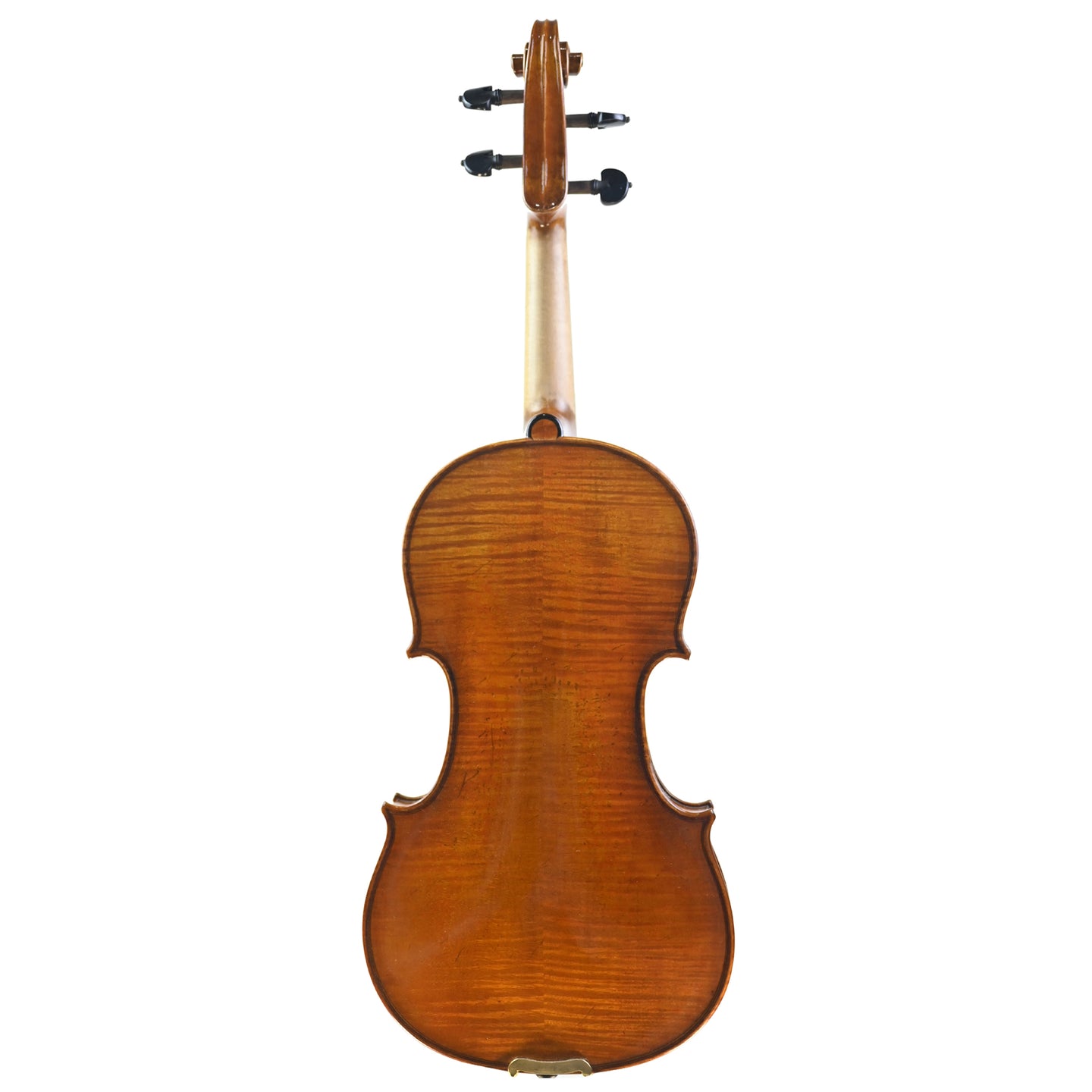7013 intermediate violin back