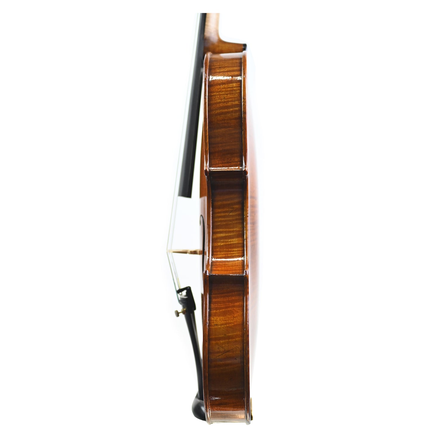 7013 intermediate violin left rib