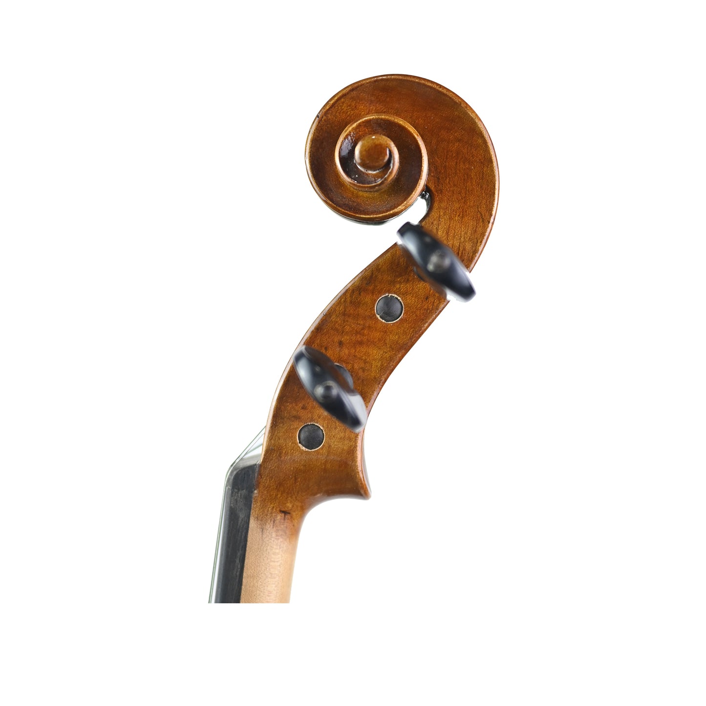 7013 intermediate violin left scroll