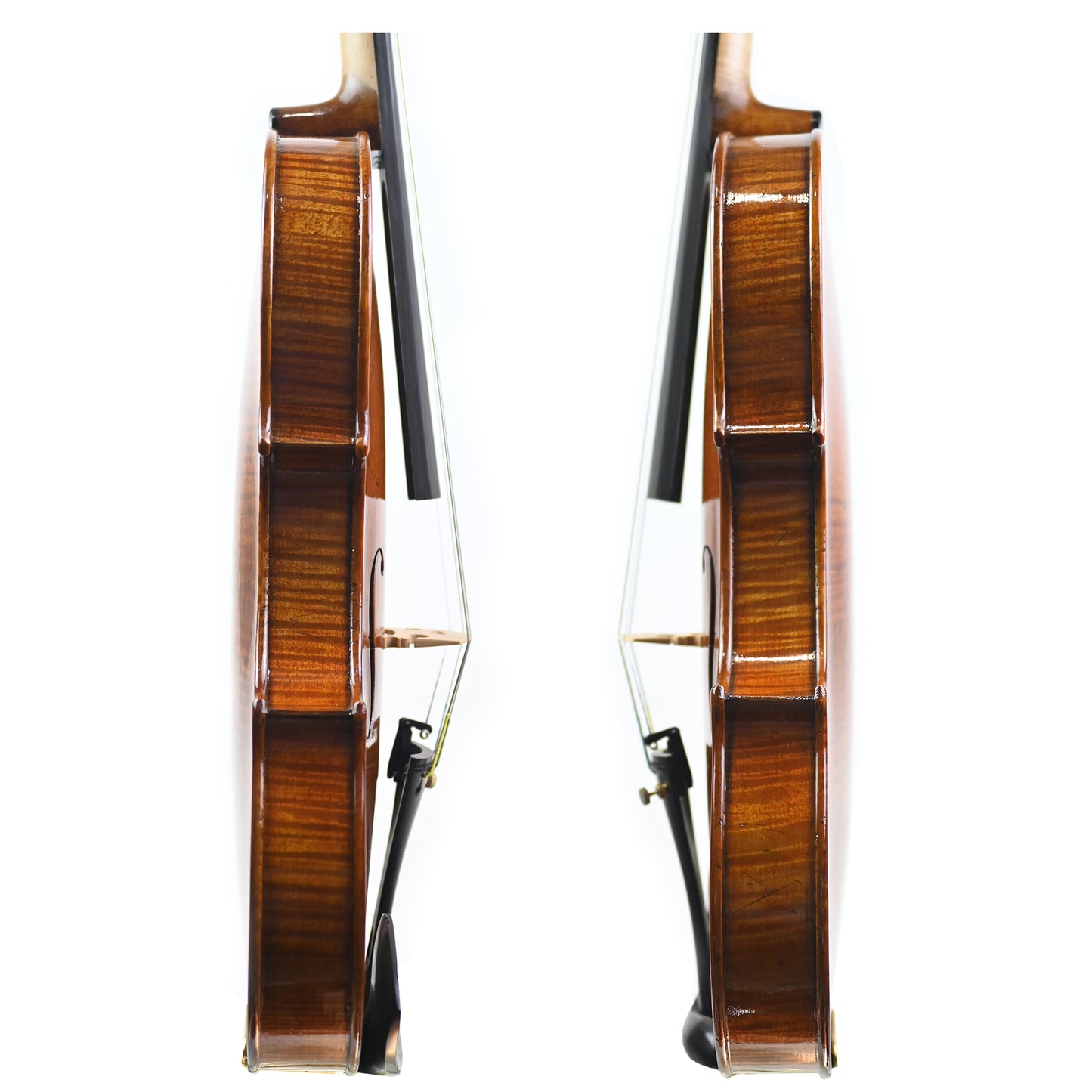 7013 intermediate violin rib
