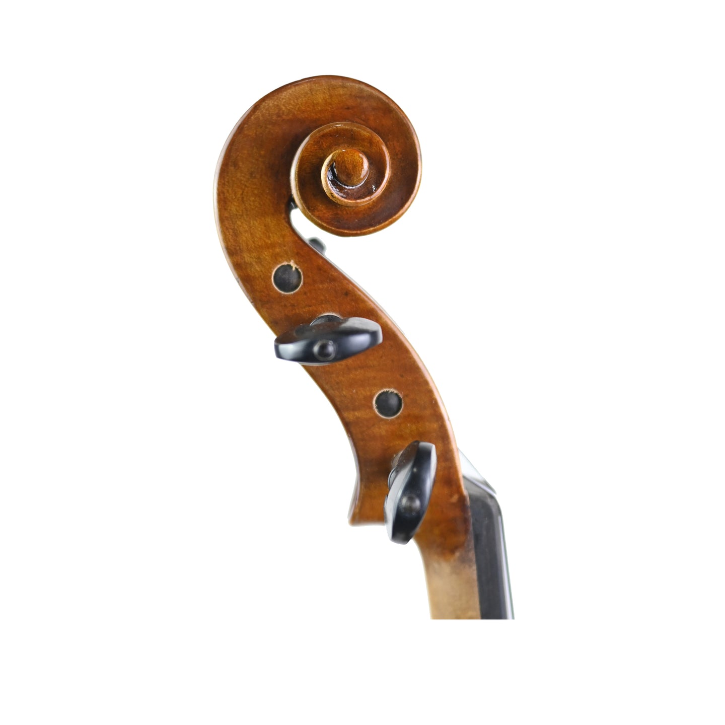 7013 intermediate violin right scroll