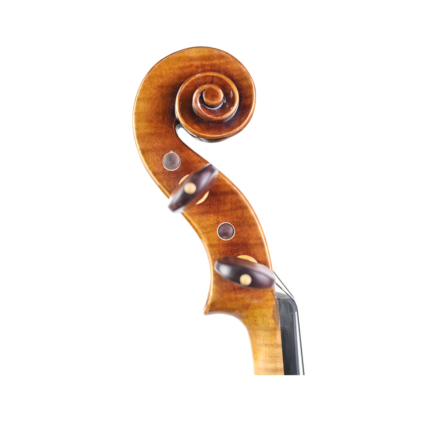 7015 Guarneri professional violin right scroll