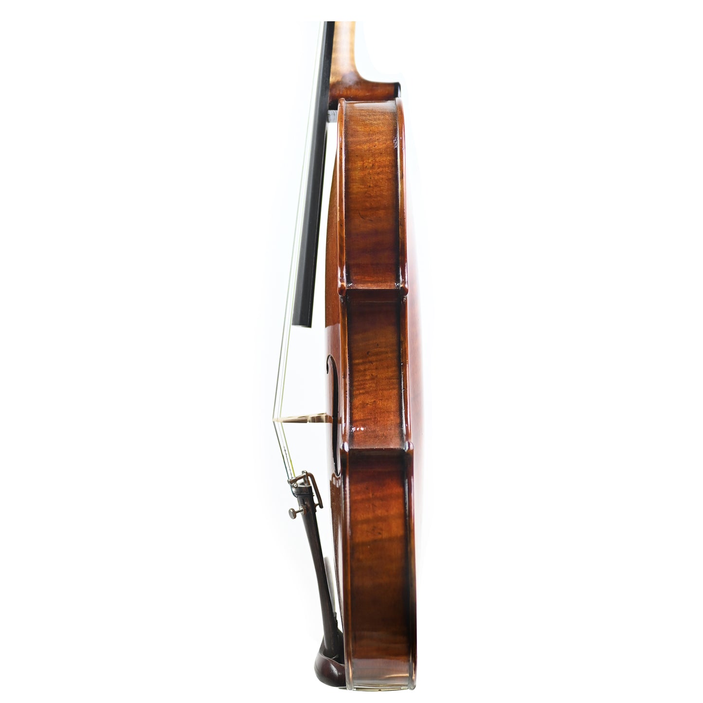 7016 full size violin left rib