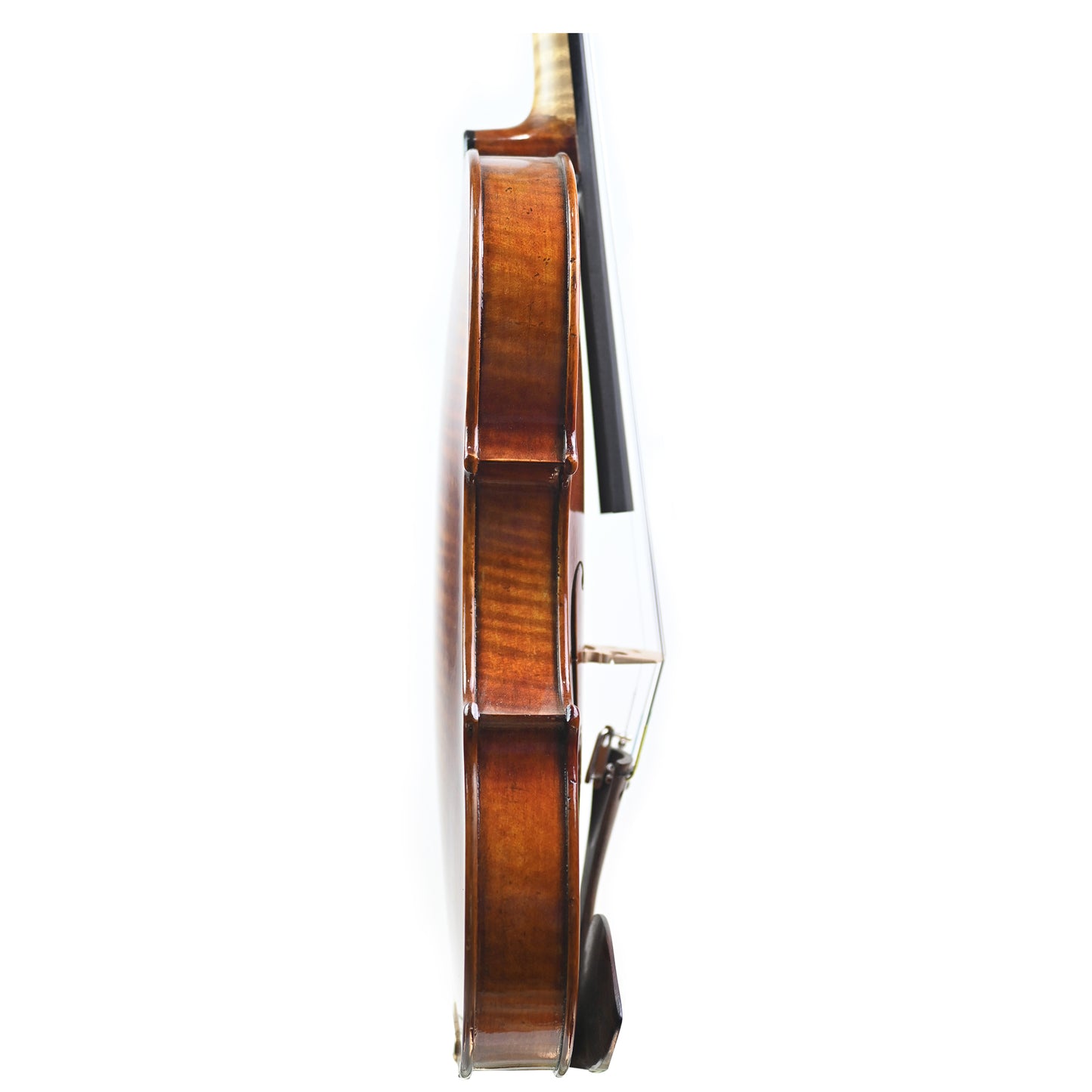 7016 full size violin right rib