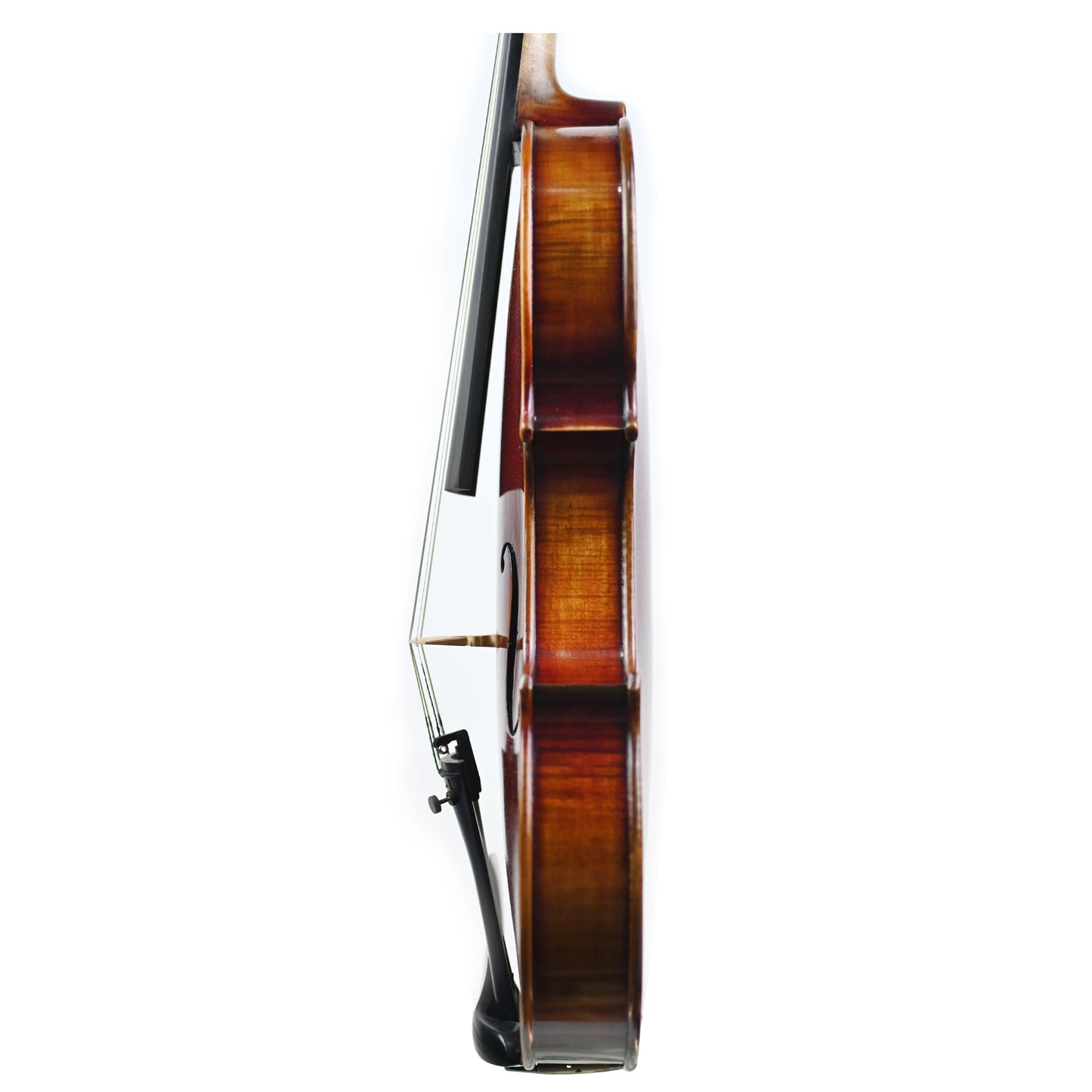 7017 beginner violin left rib