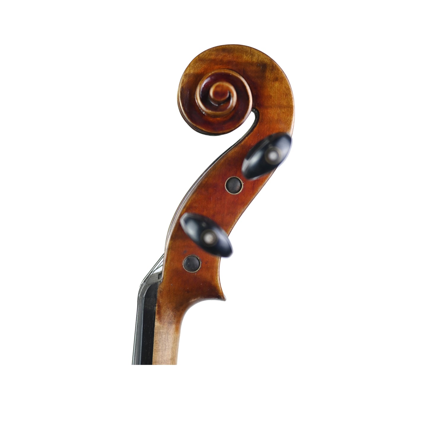 7017 beginner violin left scroll
