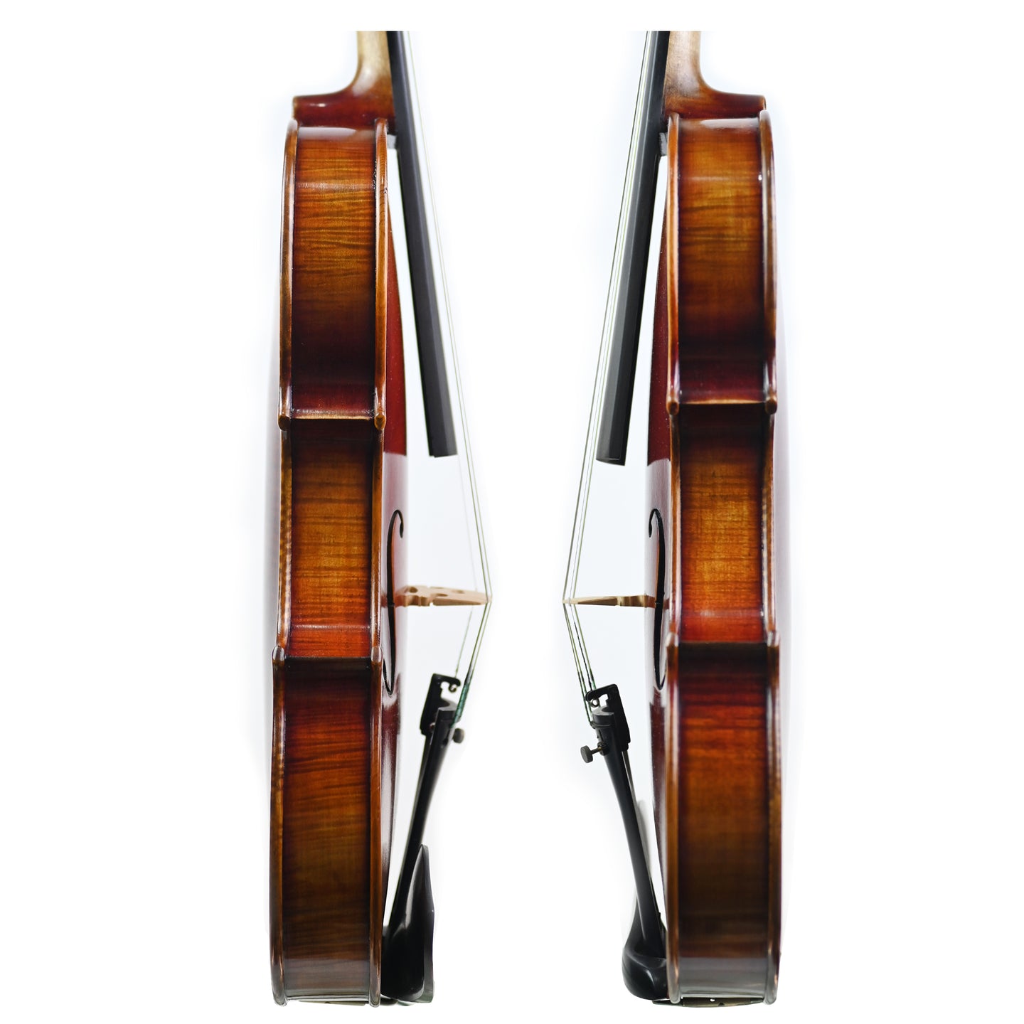 7017 beginner violin rib