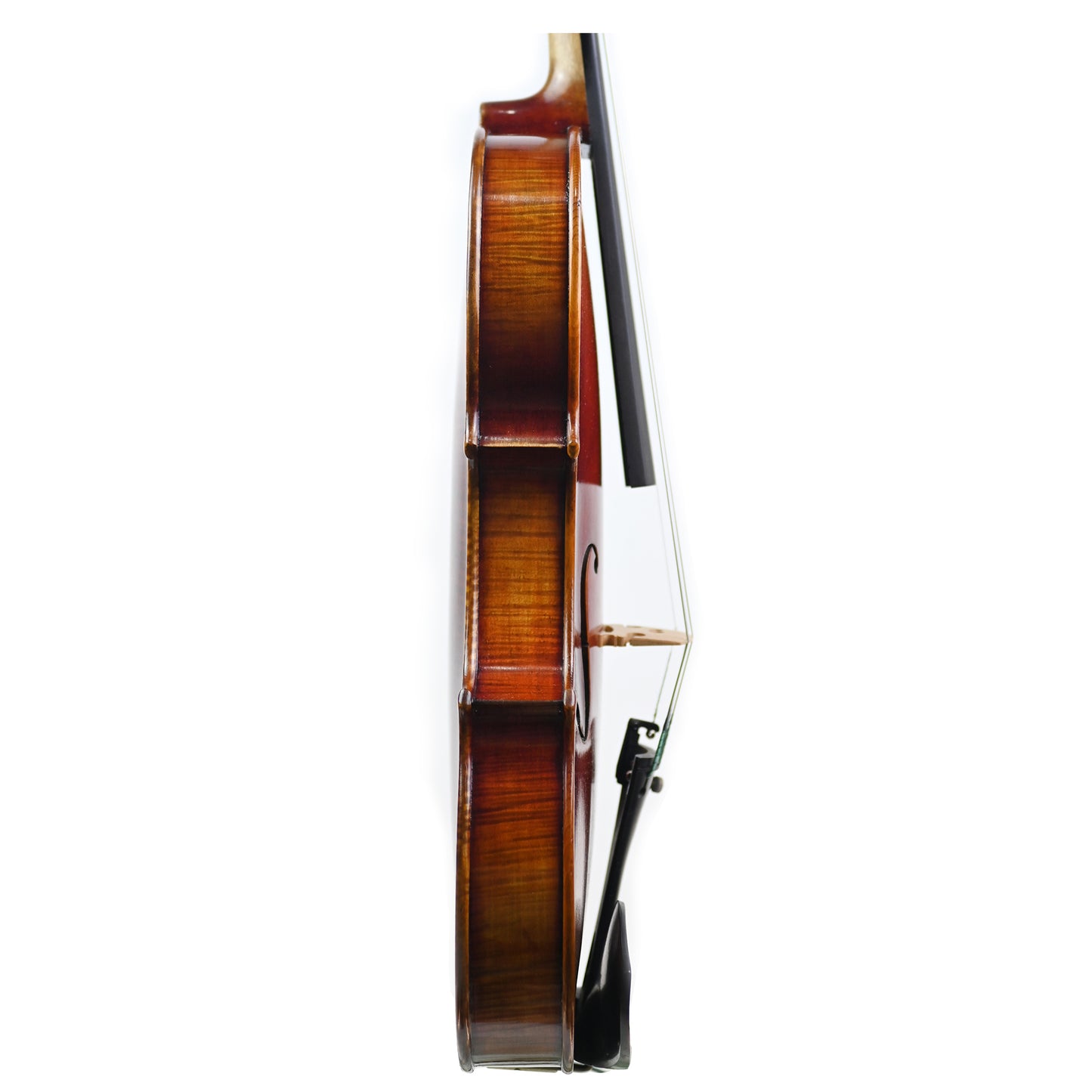 7017 beginner violin right rib