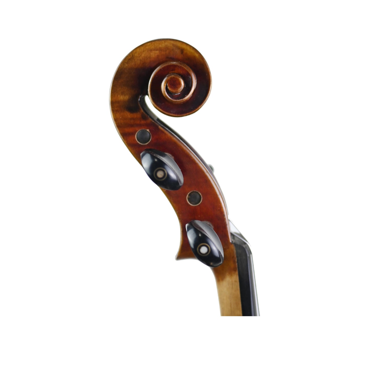 7017 beginner violin right scroll