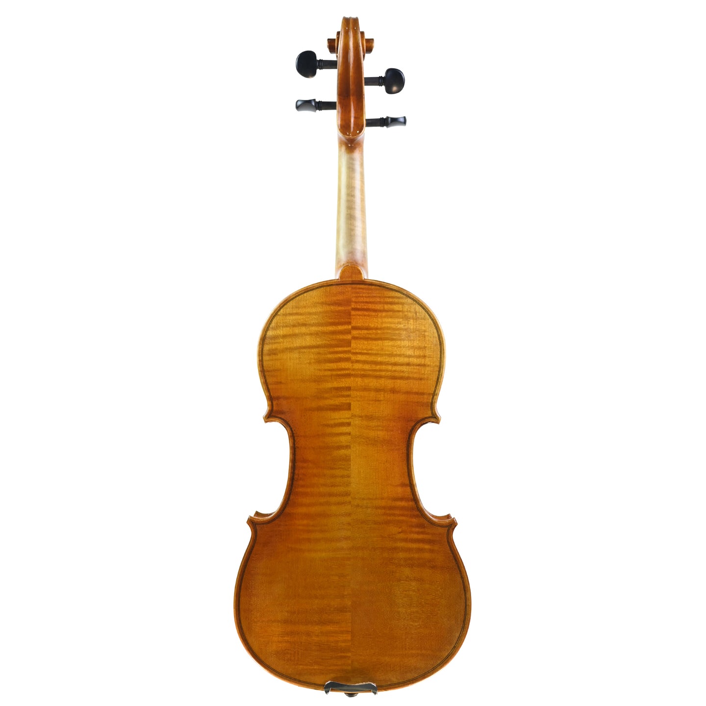 7018 beginner violin back