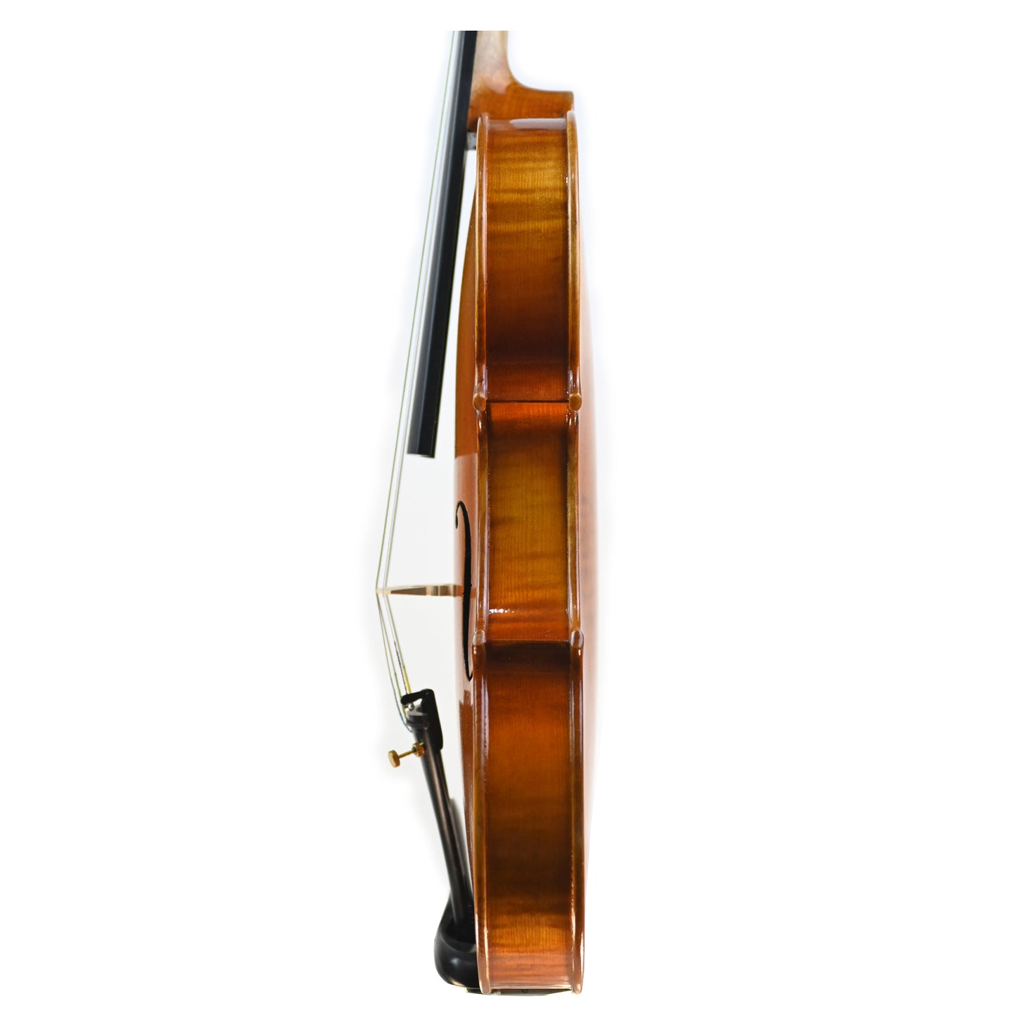 7018 beginner violin left rib