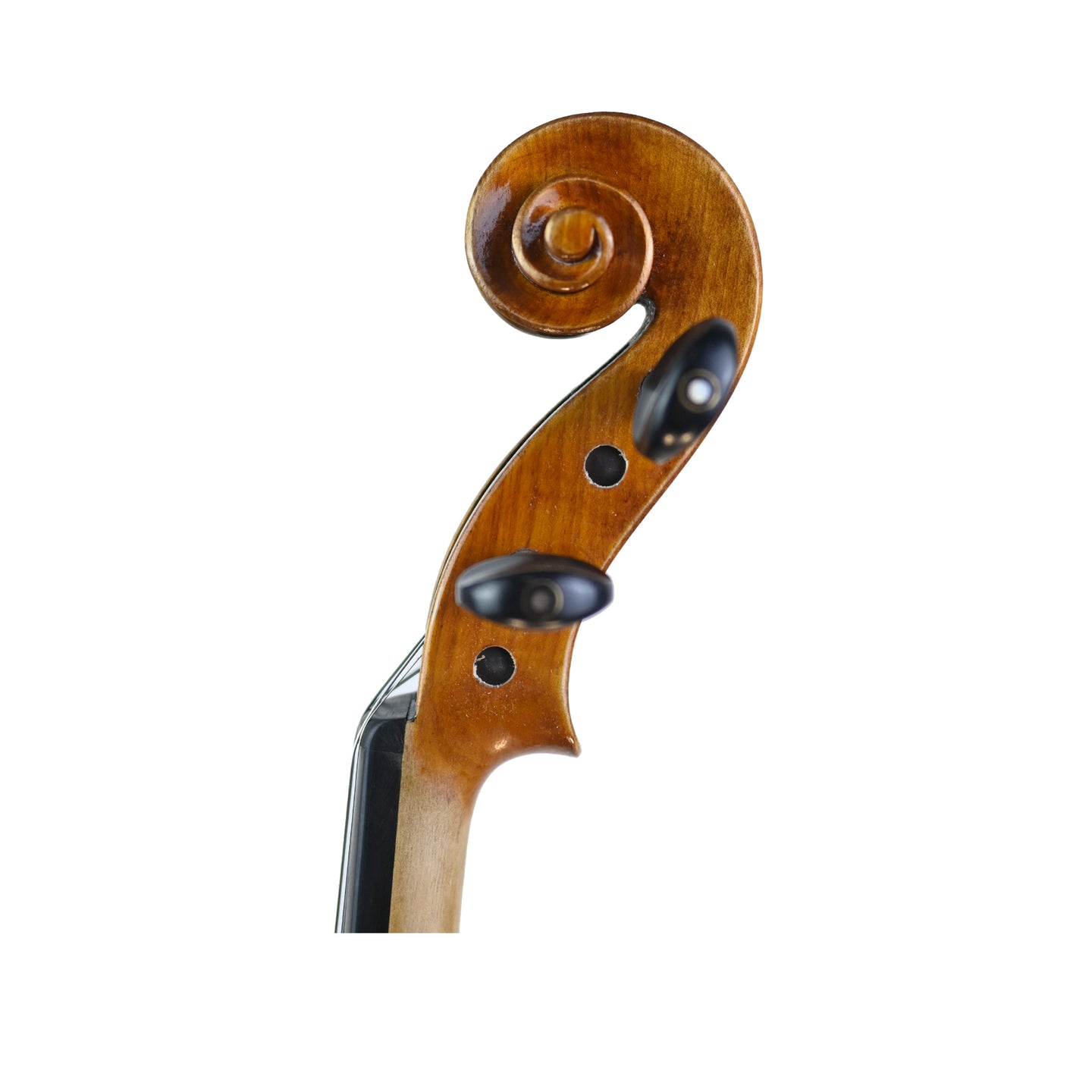 7018 beginner violin left scroll