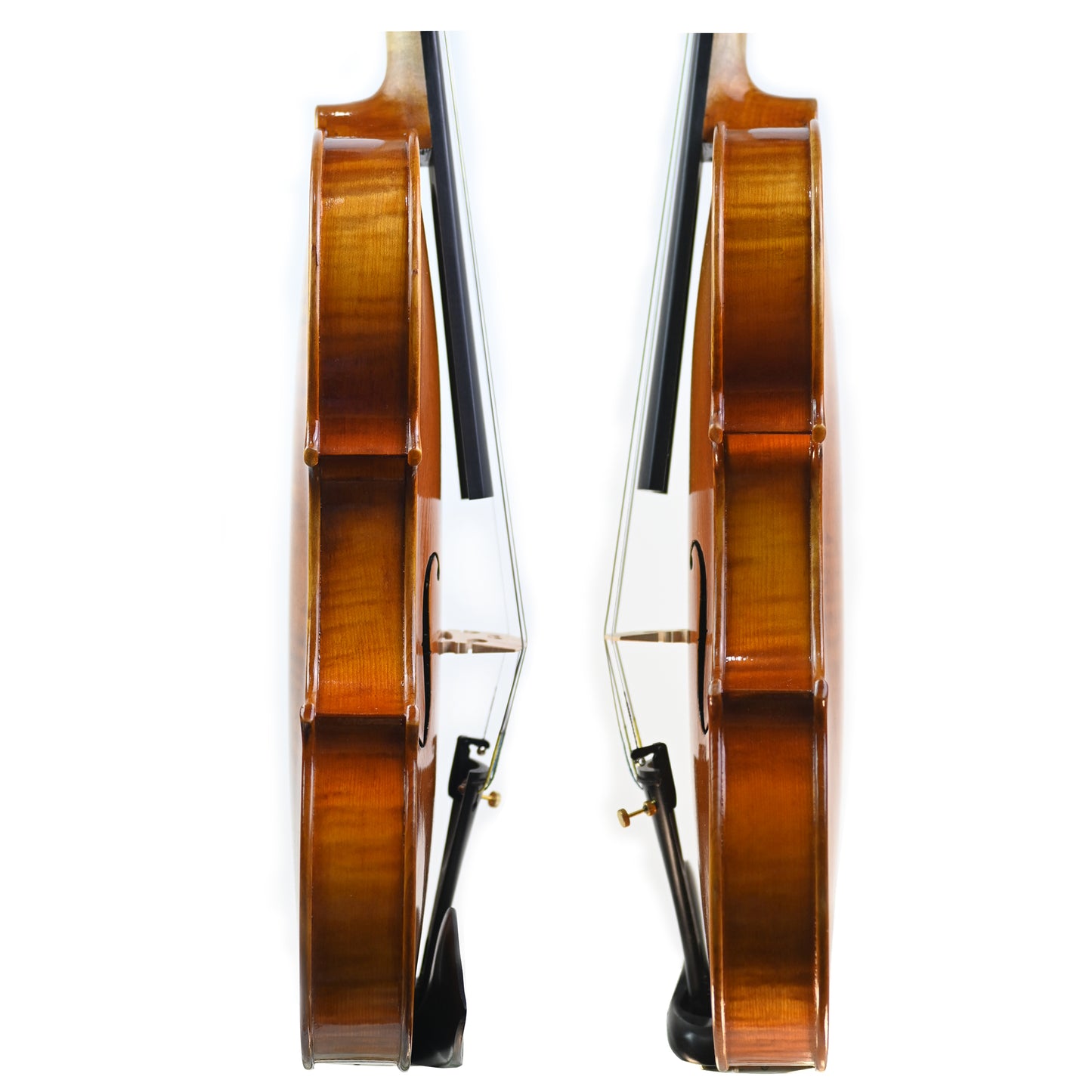 7018 beginner violin rib