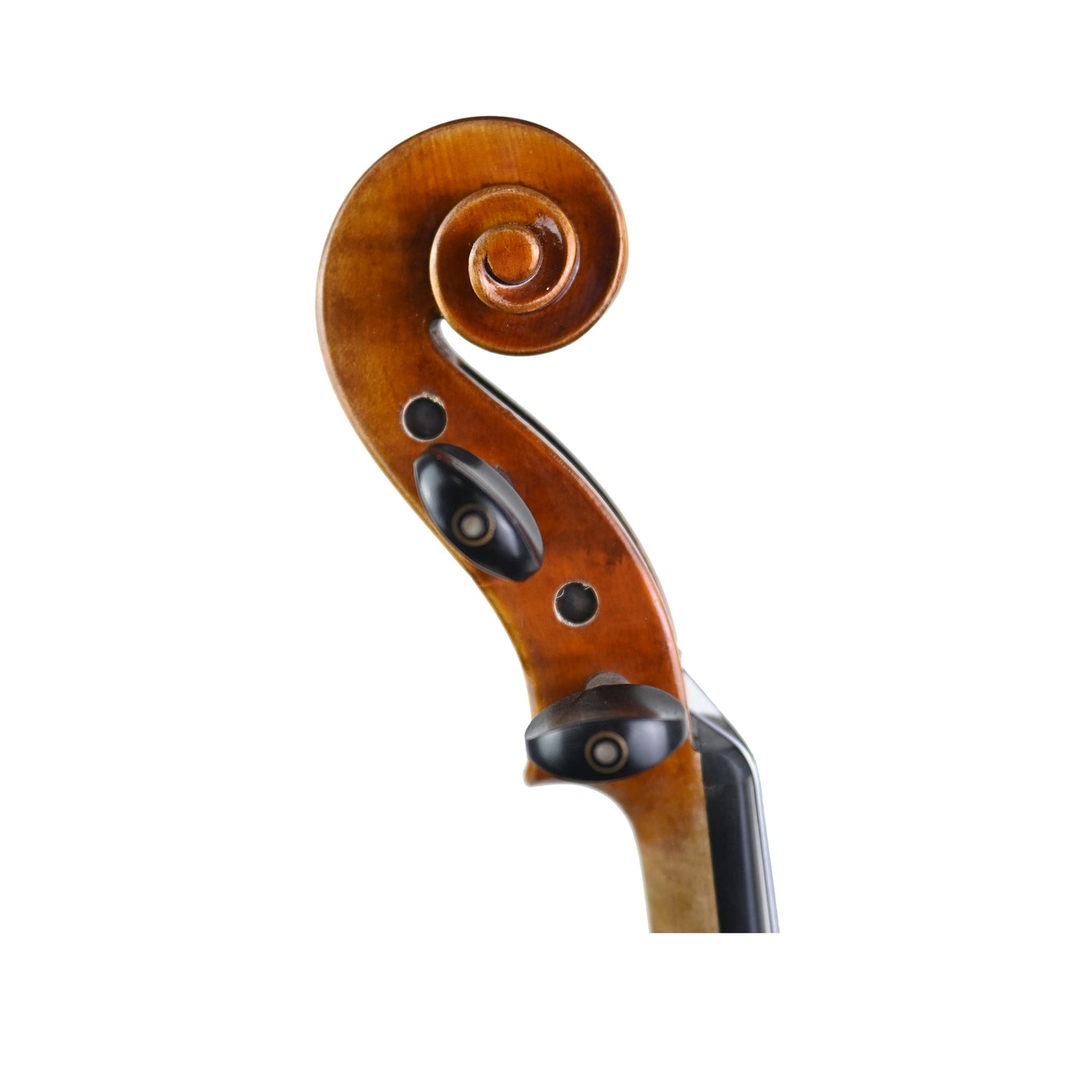 7018 beginner violin right scroll