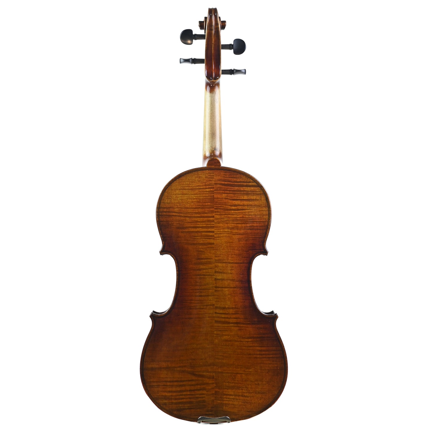 7020 beginner violin back