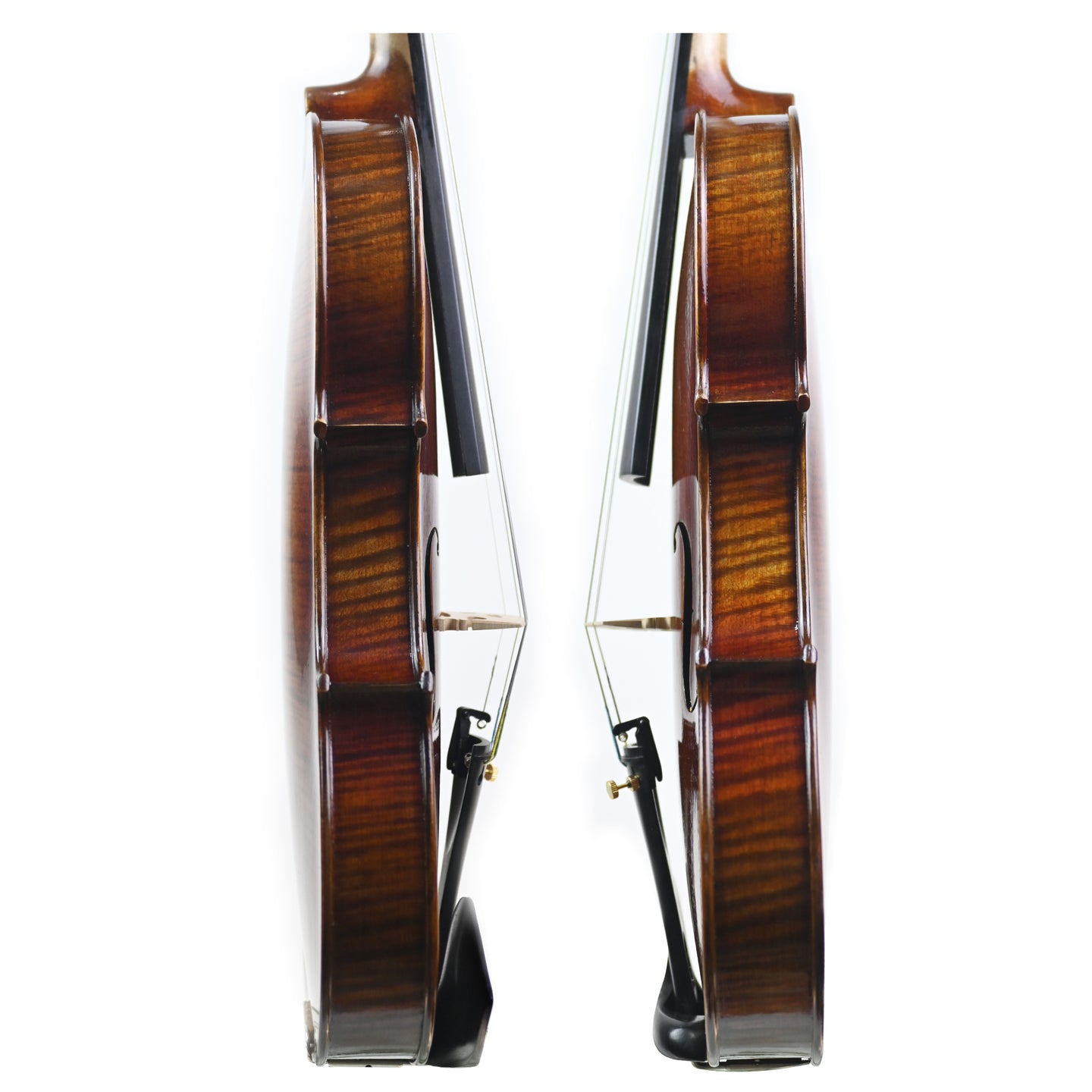 7020 beginner violin rib
