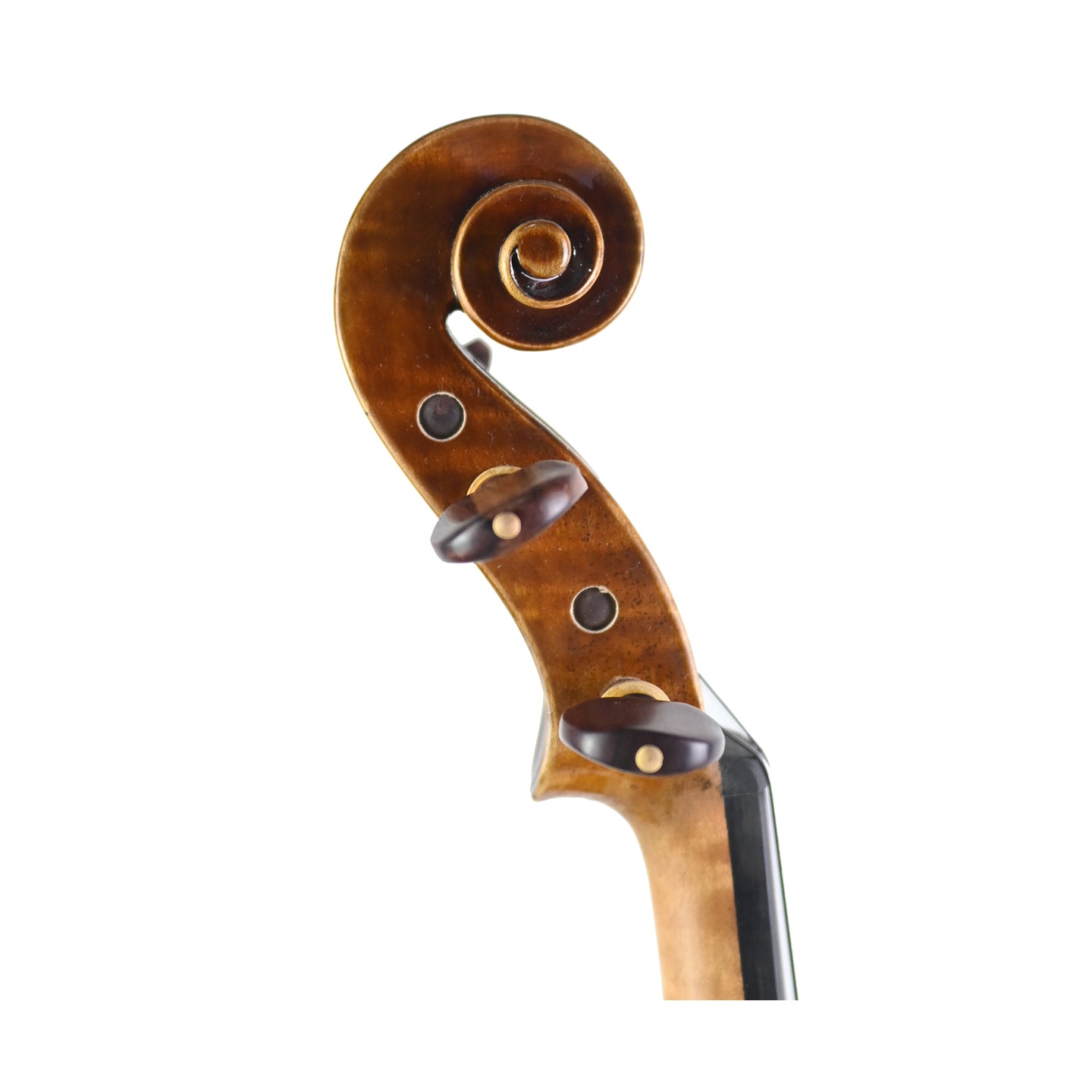 7023 intermediate violin right scroll