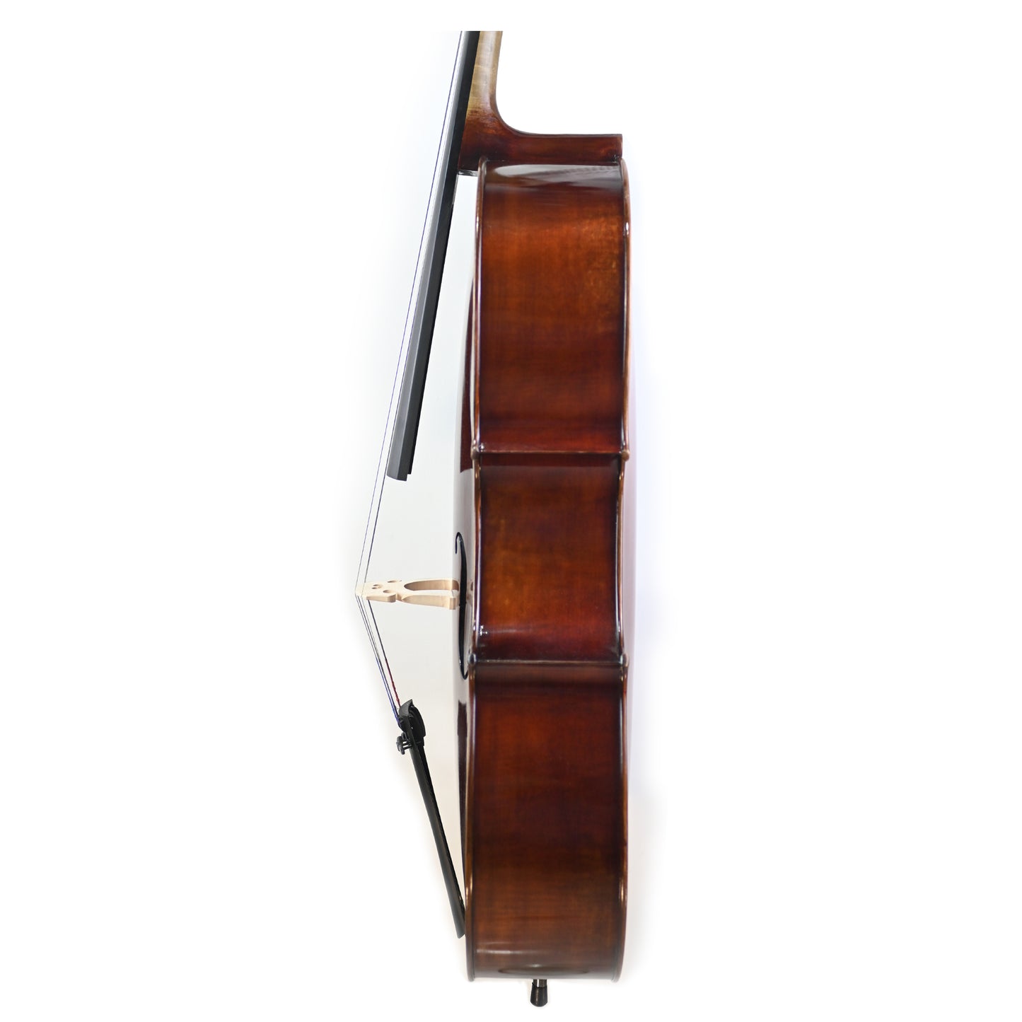7026 beginner cello left rib