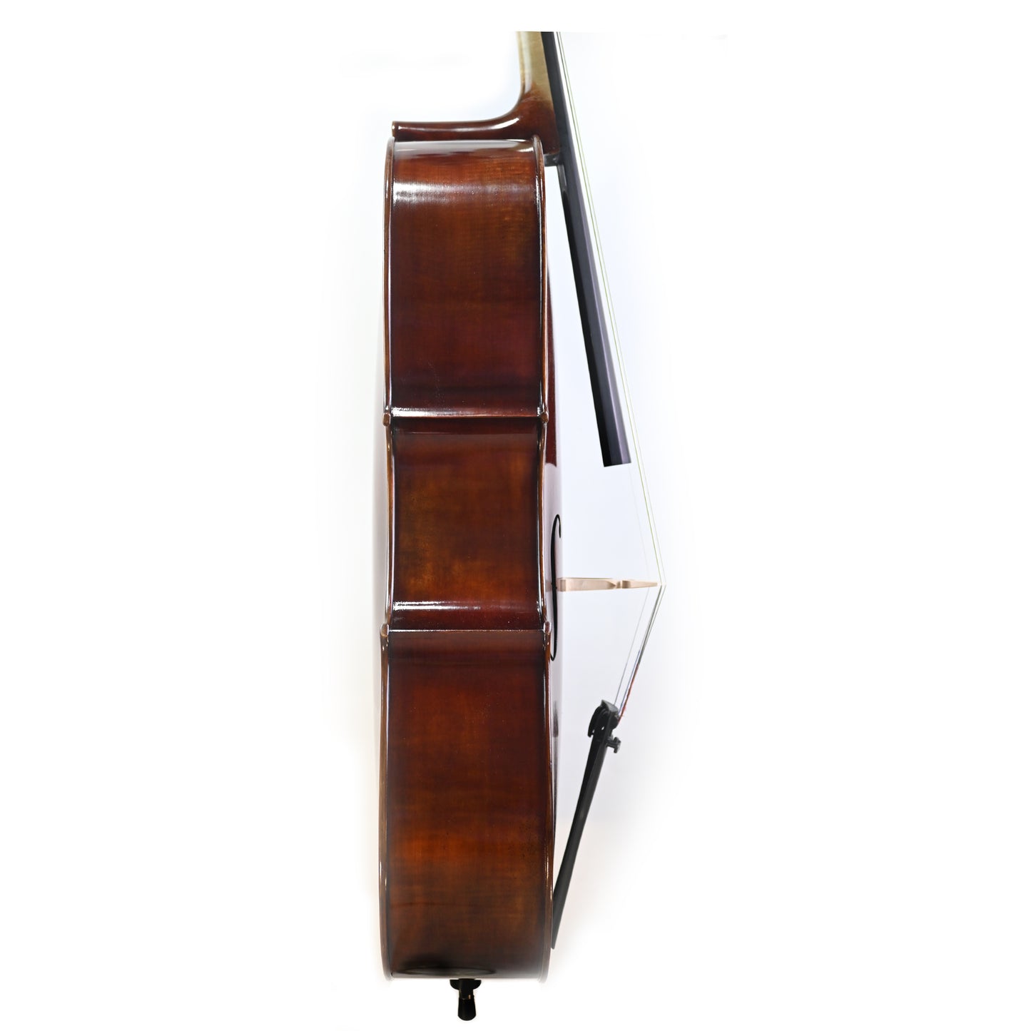 7026 beginner cello right rib