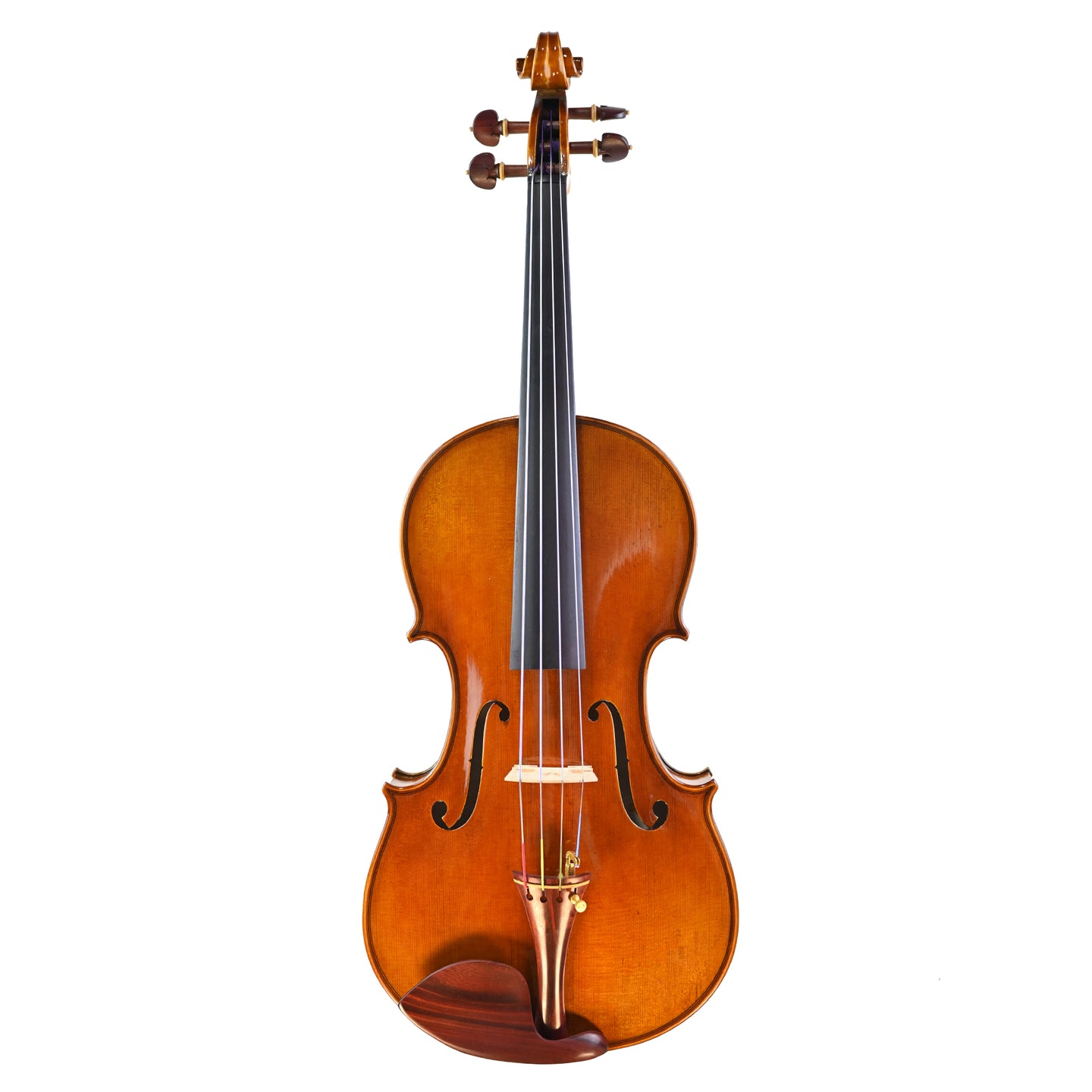  7031 Professional Viola front