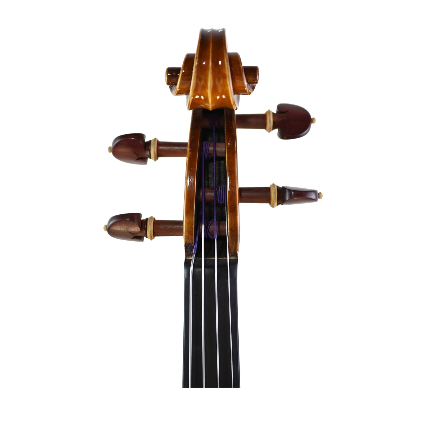  7031 Professional Viola front scroll