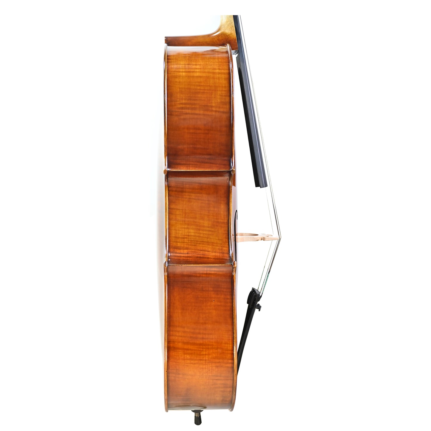 7034 intermediate cello right rib