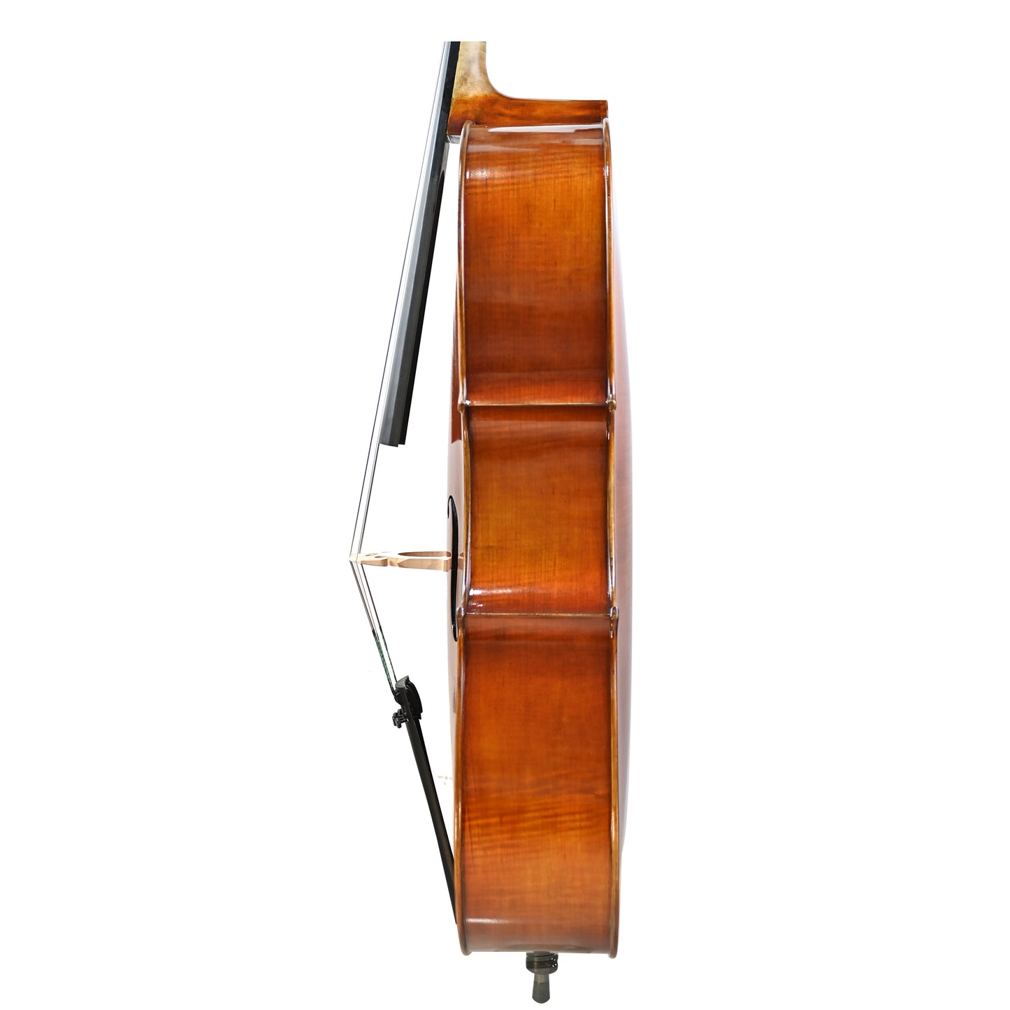 7035 intermediate cello left rib
