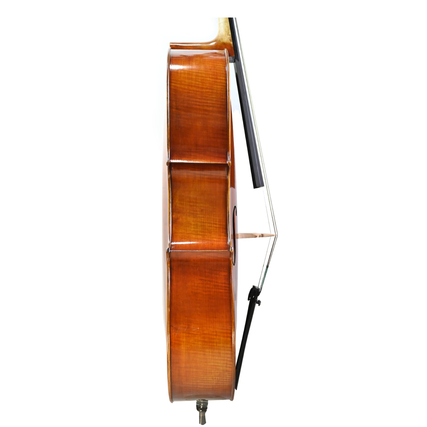 7035 intermediate cello right rib
