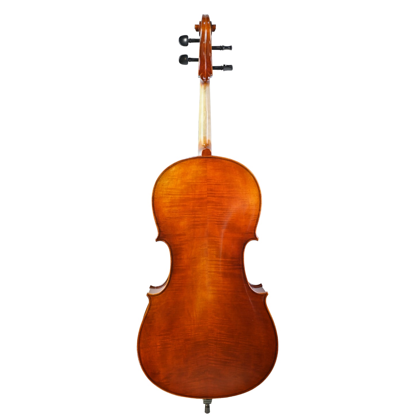 7036 intermediate cello back